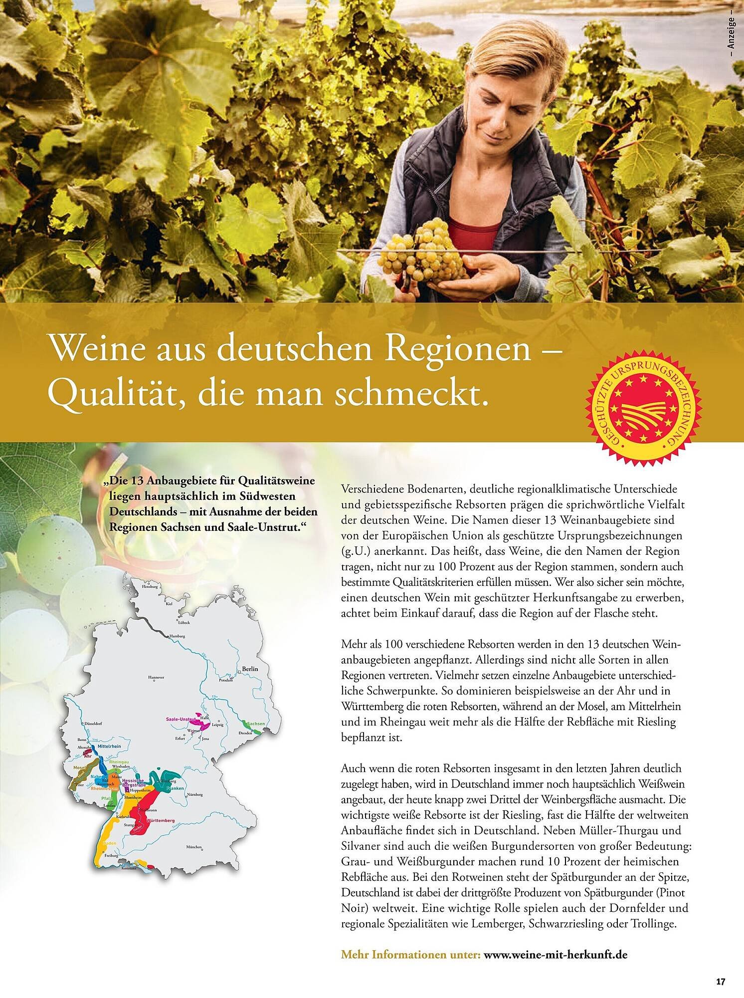 Tegut Prospekt (2026-02-16 - 2026-02-21)