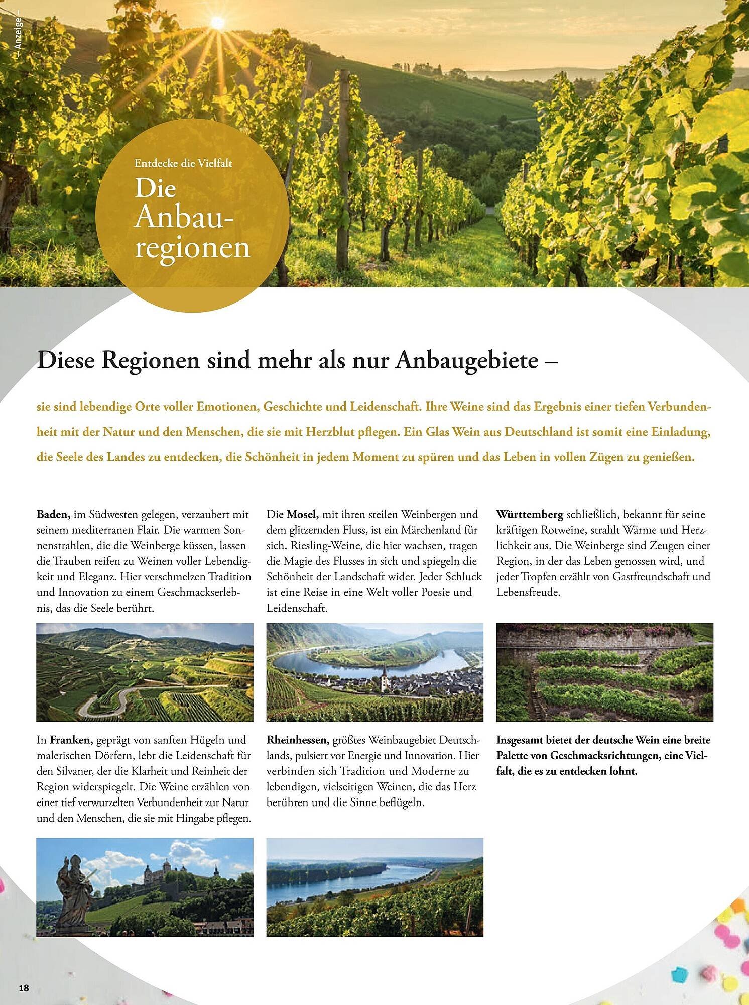 Tegut Prospekt (2026-02-16 - 2026-02-21)