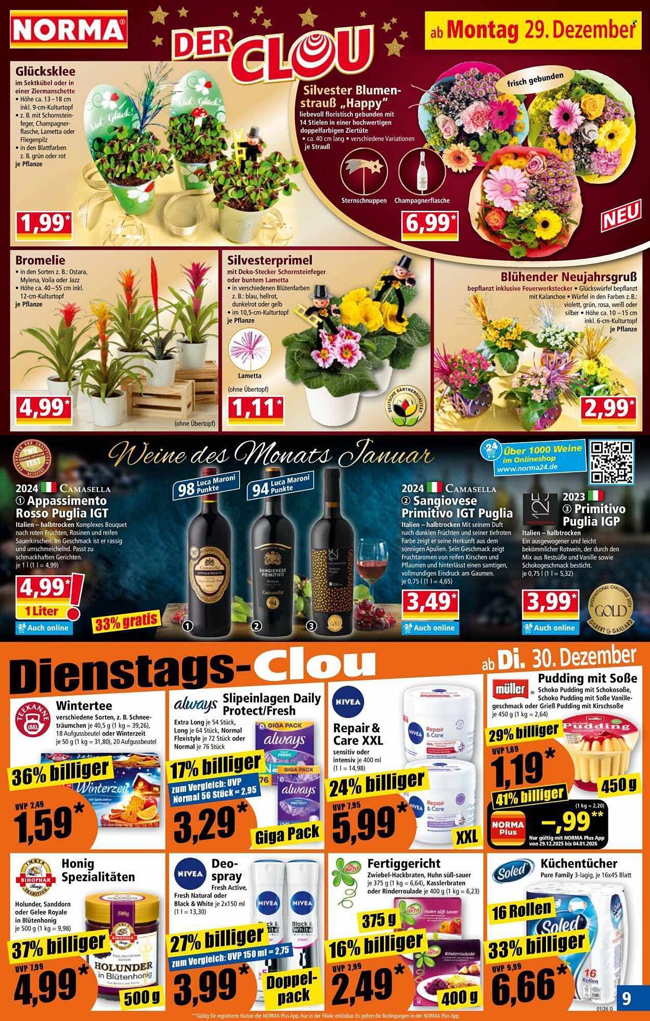 Norma Prospekt (2025-12-29 - 2026-01-04)