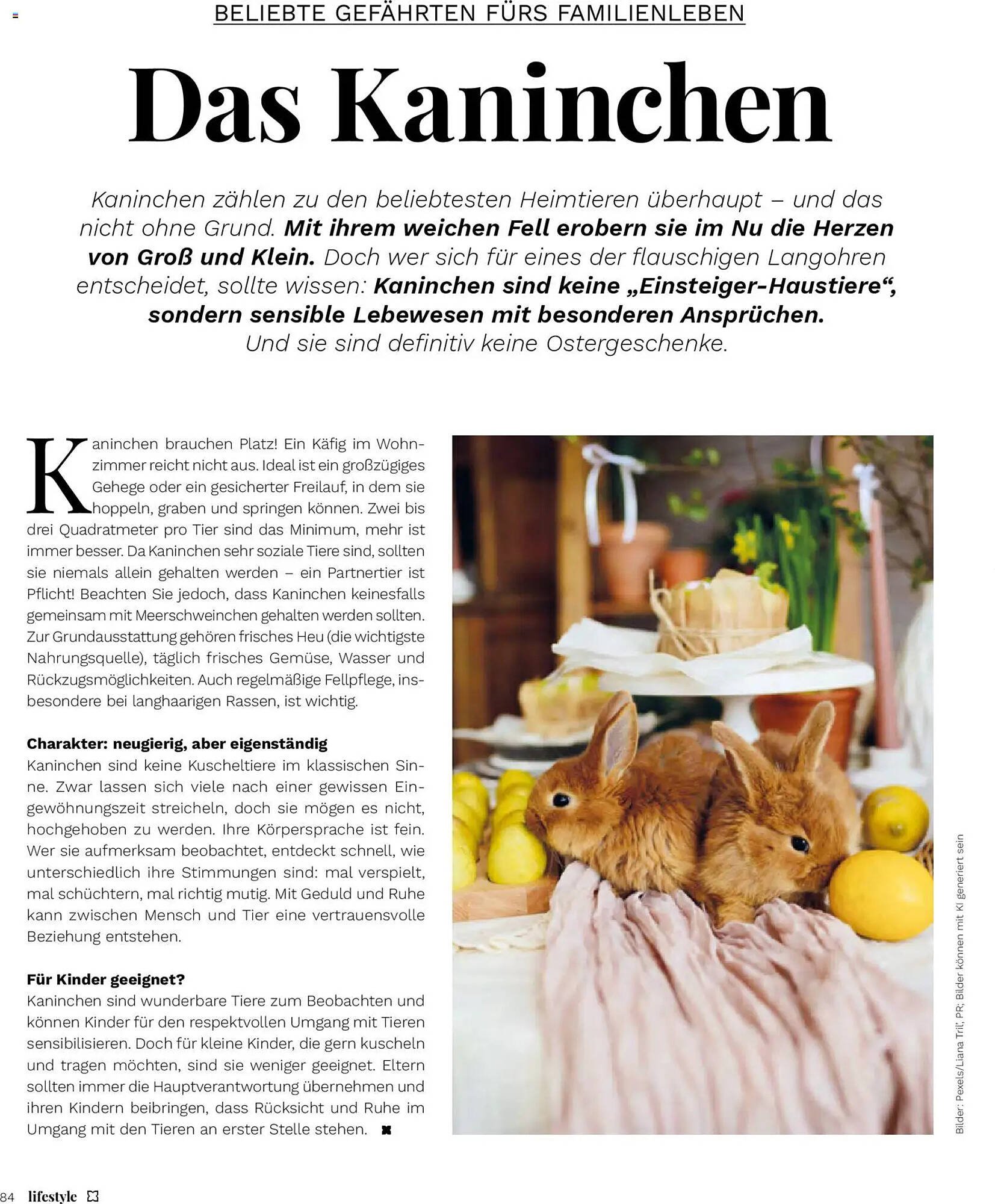 Müller Magazin