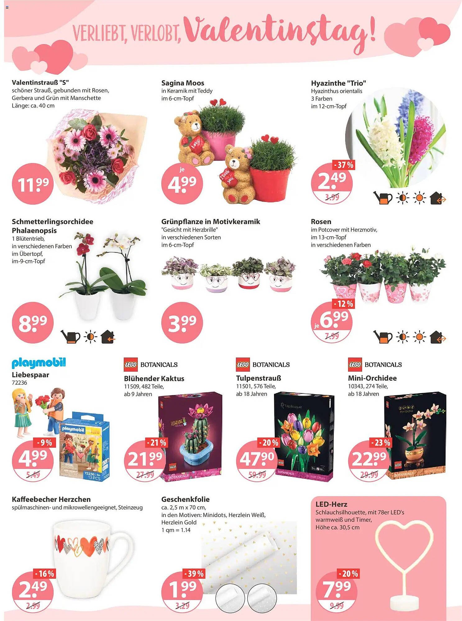 V Markt Prospekt (2026-02-12 - 2026-02-18)