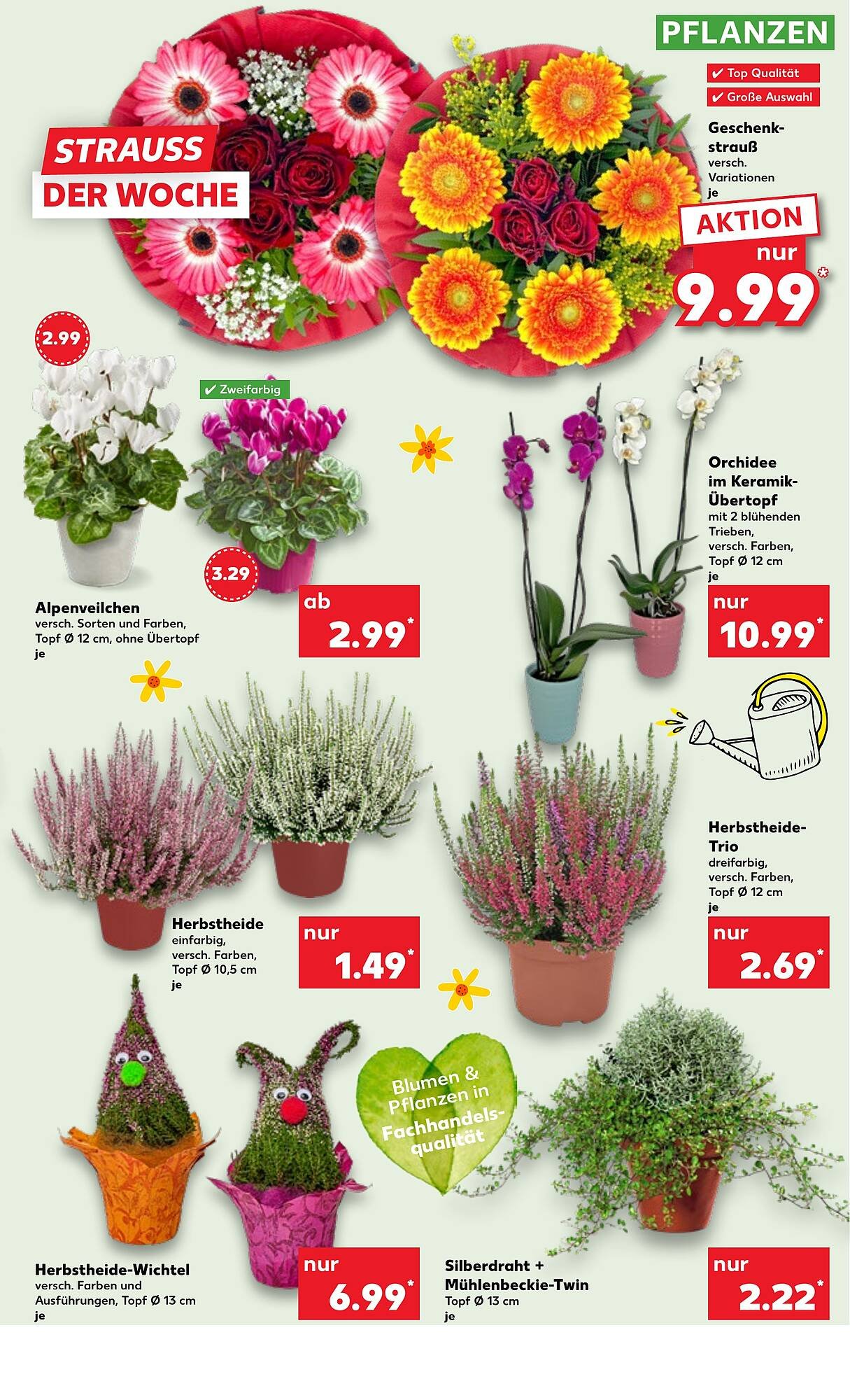 Kaufland Prospekt (2025-10-09 - 2025-10-15) | 5