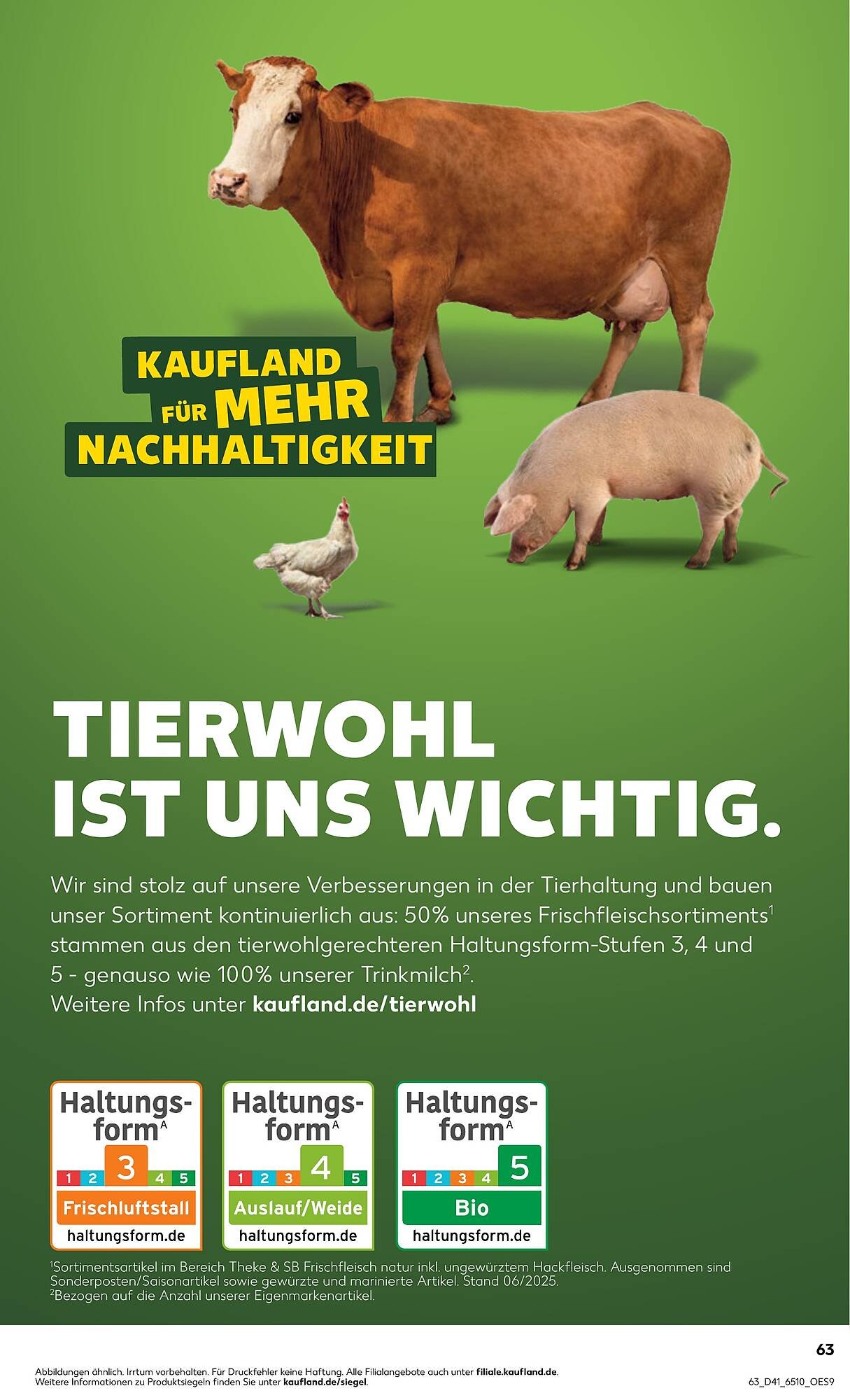 Kaufland Prospekt (2025-10-09 - 2025-10-15) | 63