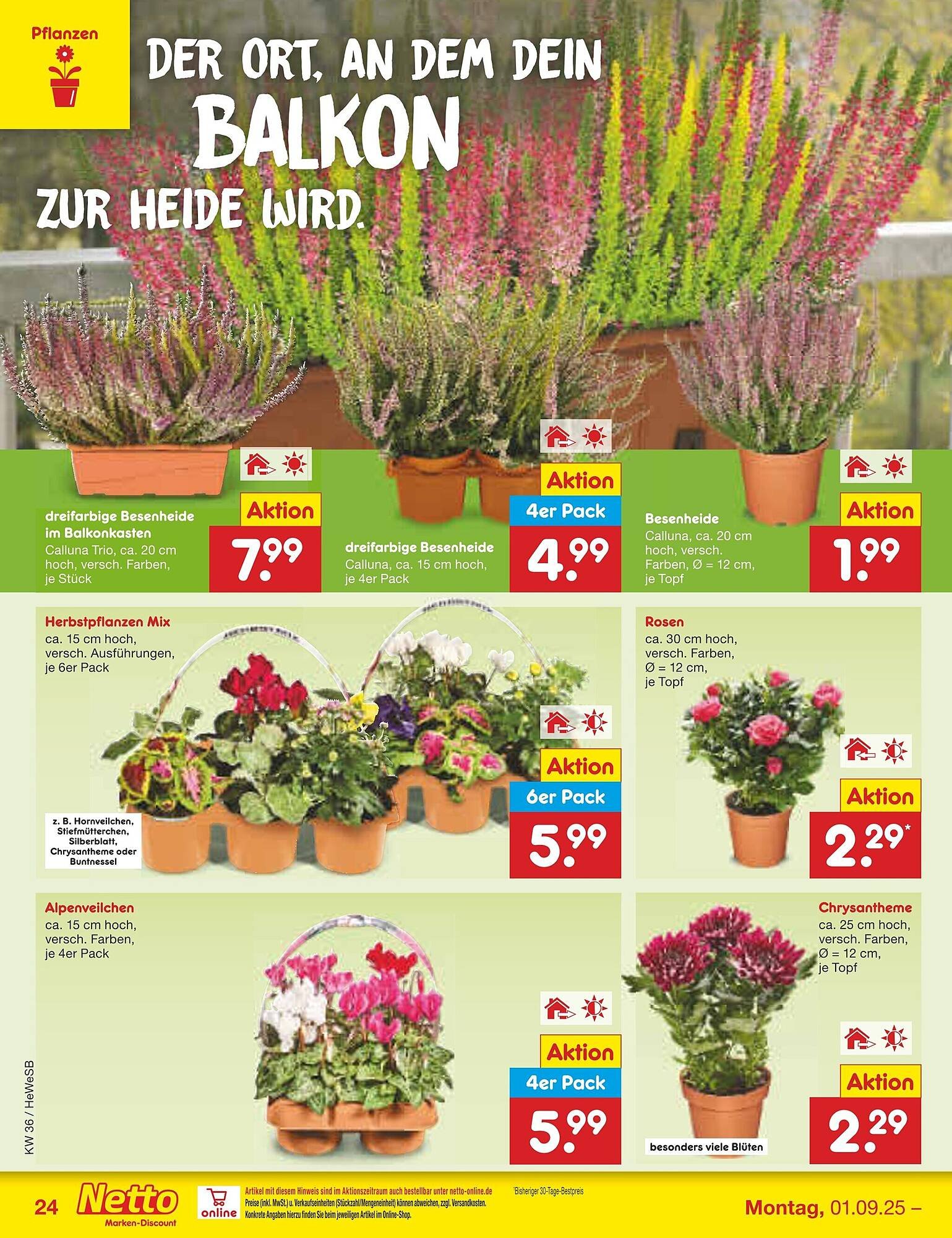 Netto Marken-Discount Prospekt (2025-09-01 - 2025-09-06)