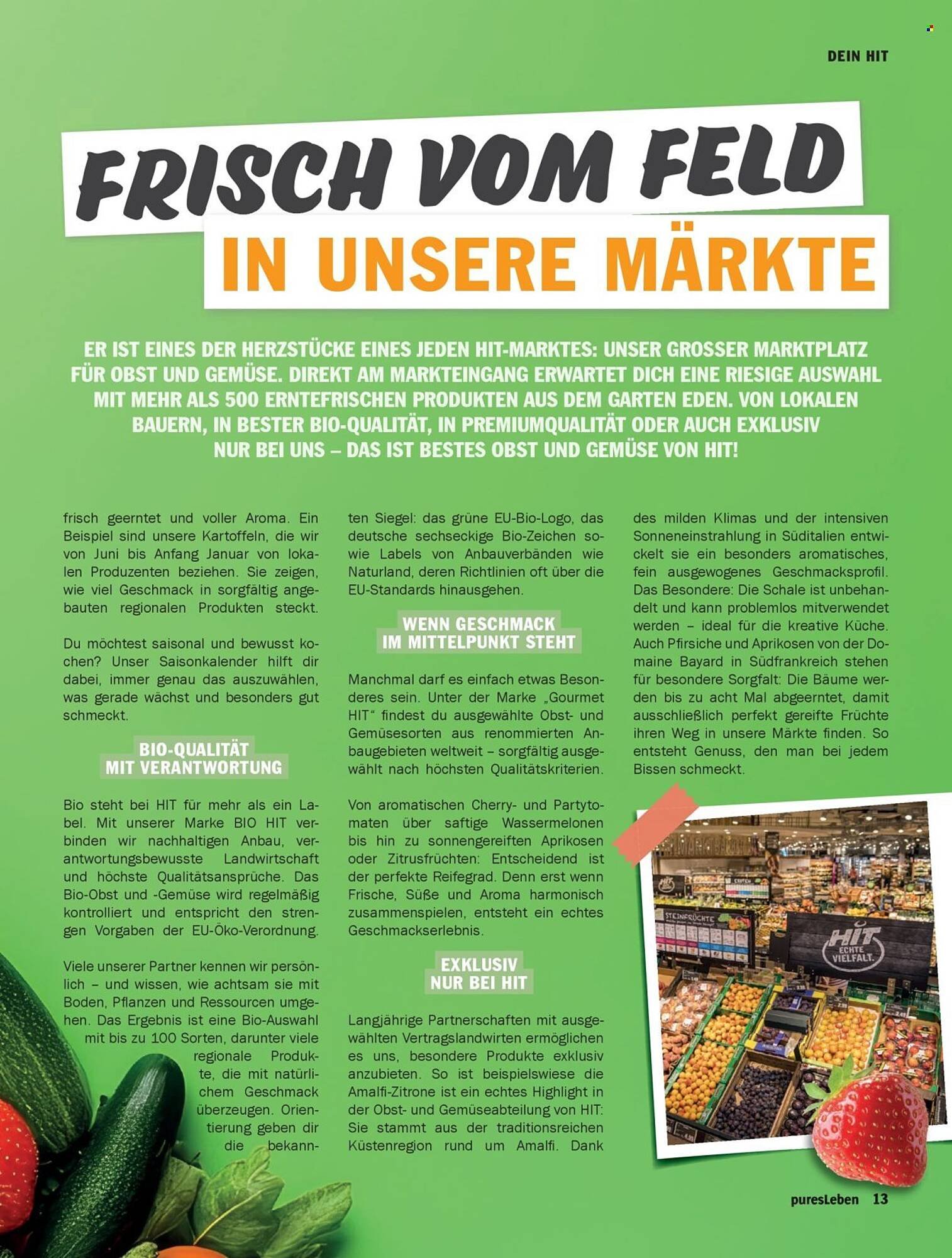 HIT Magazin (2026-04-18 - 2026-04-26)