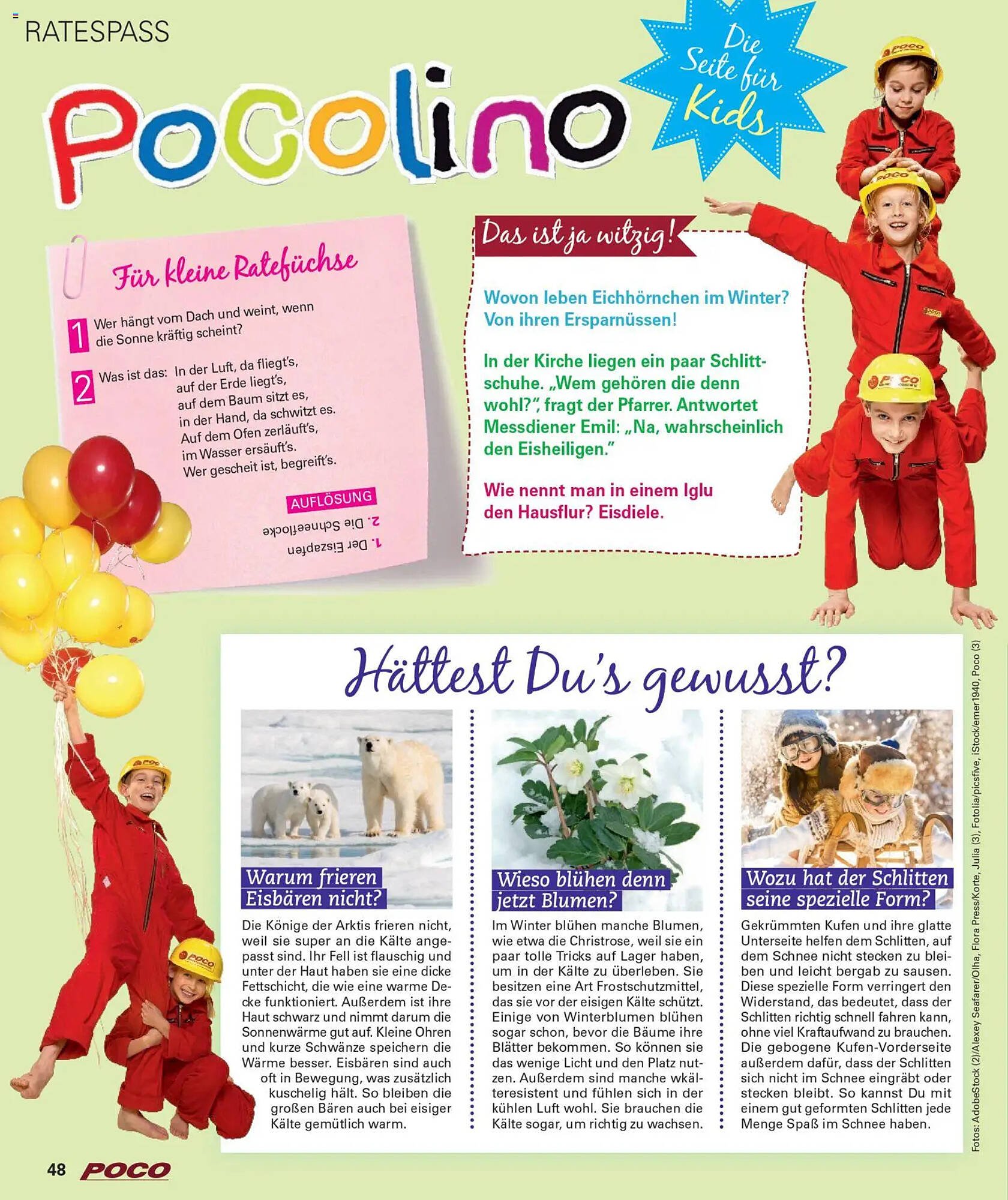Poco Magazin (2025-12-01 - 2026-02-28)