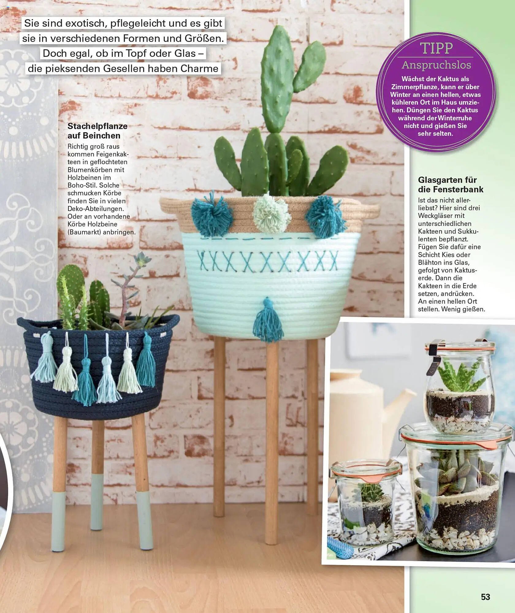 Poco Magazin (2025-12-01 - 2026-02-28)