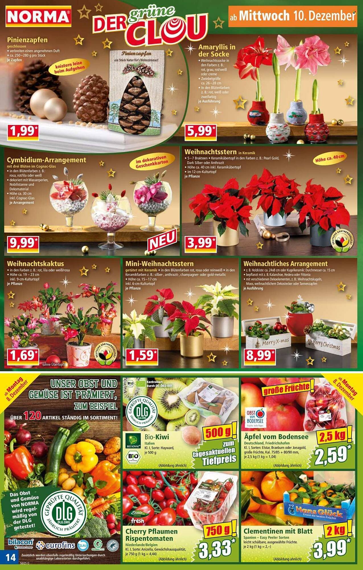 Norma Prospekt (2025-12-08 - 2025-12-14)