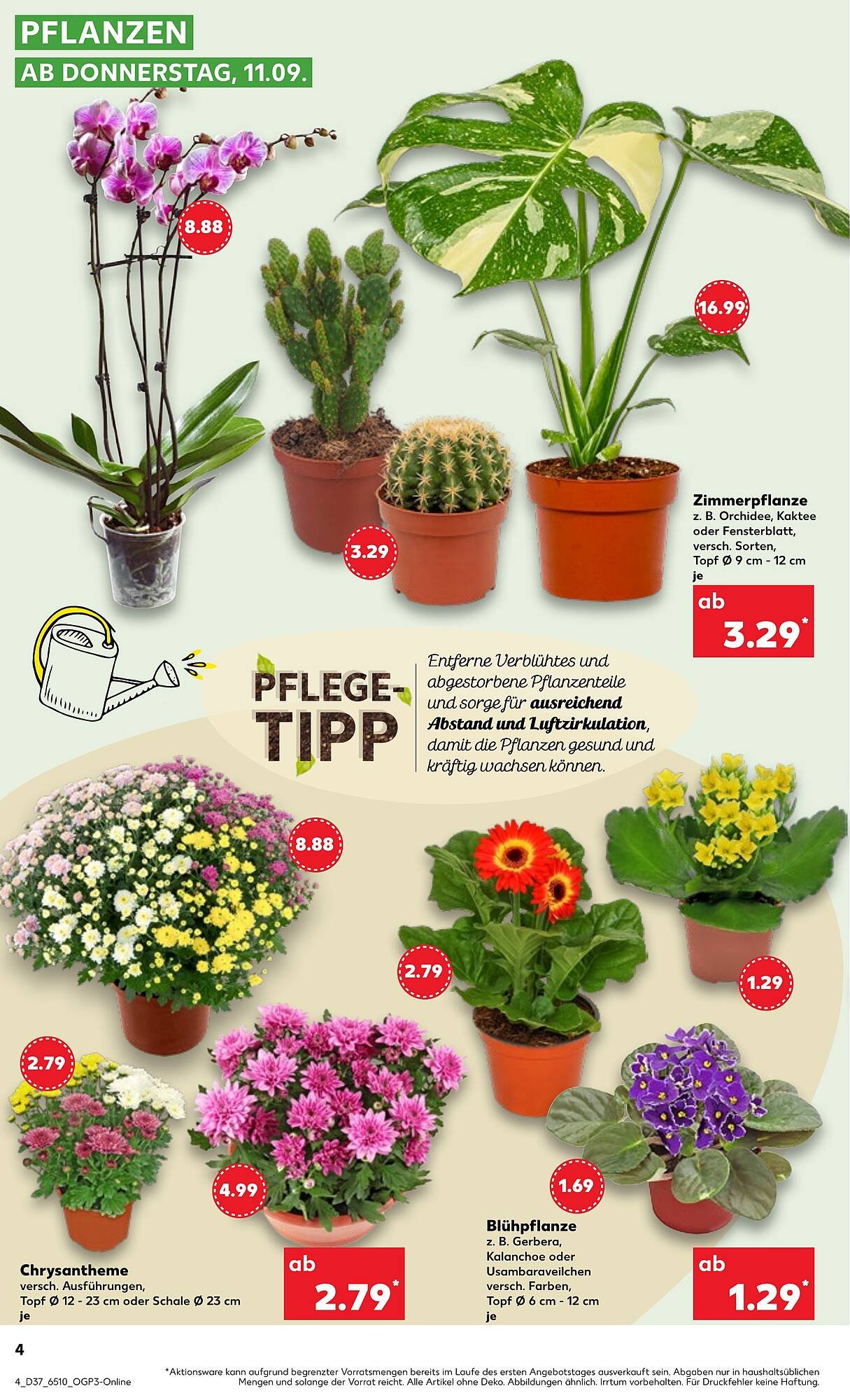 Kaufland Prospekt (2025-09-11 - 2025-09-17)