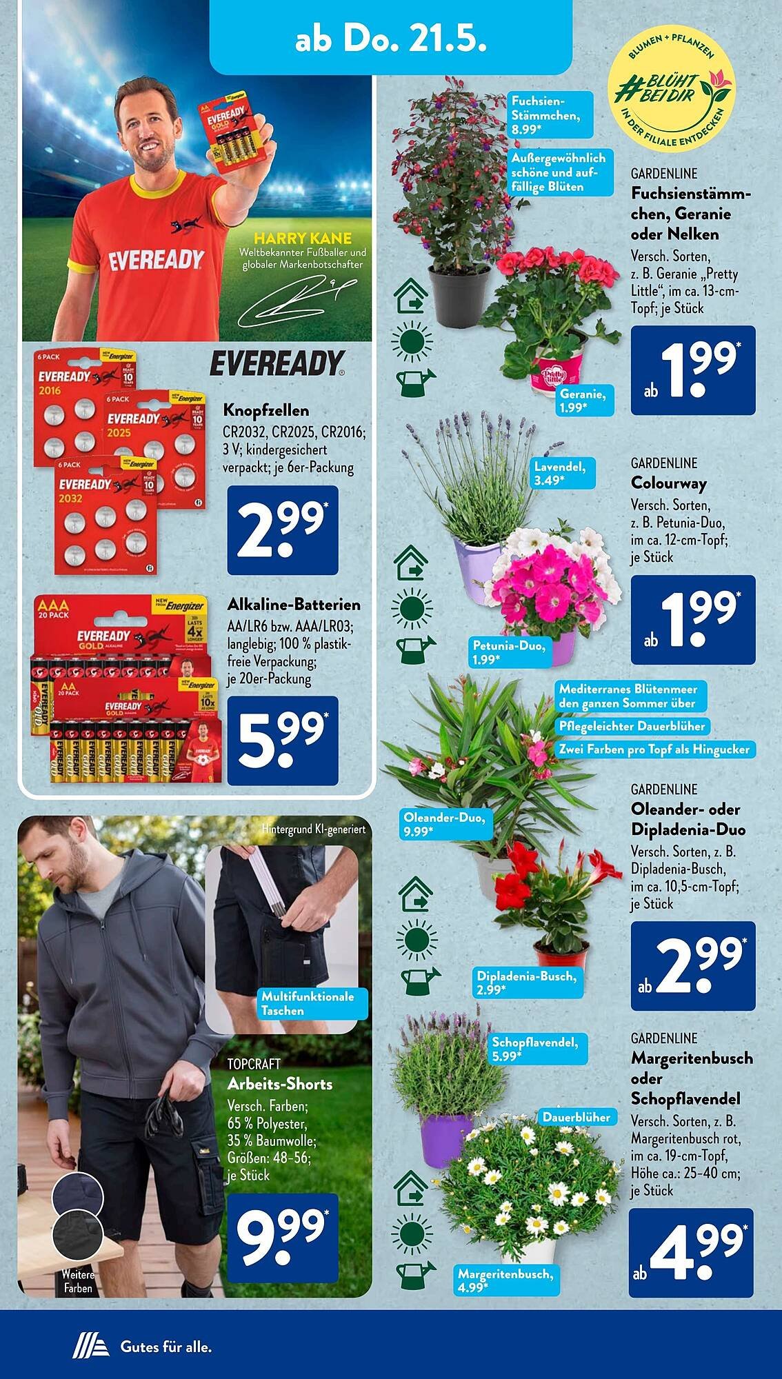 Aldi Süd Prospekt (2026-05-18 - 2026-05-24)