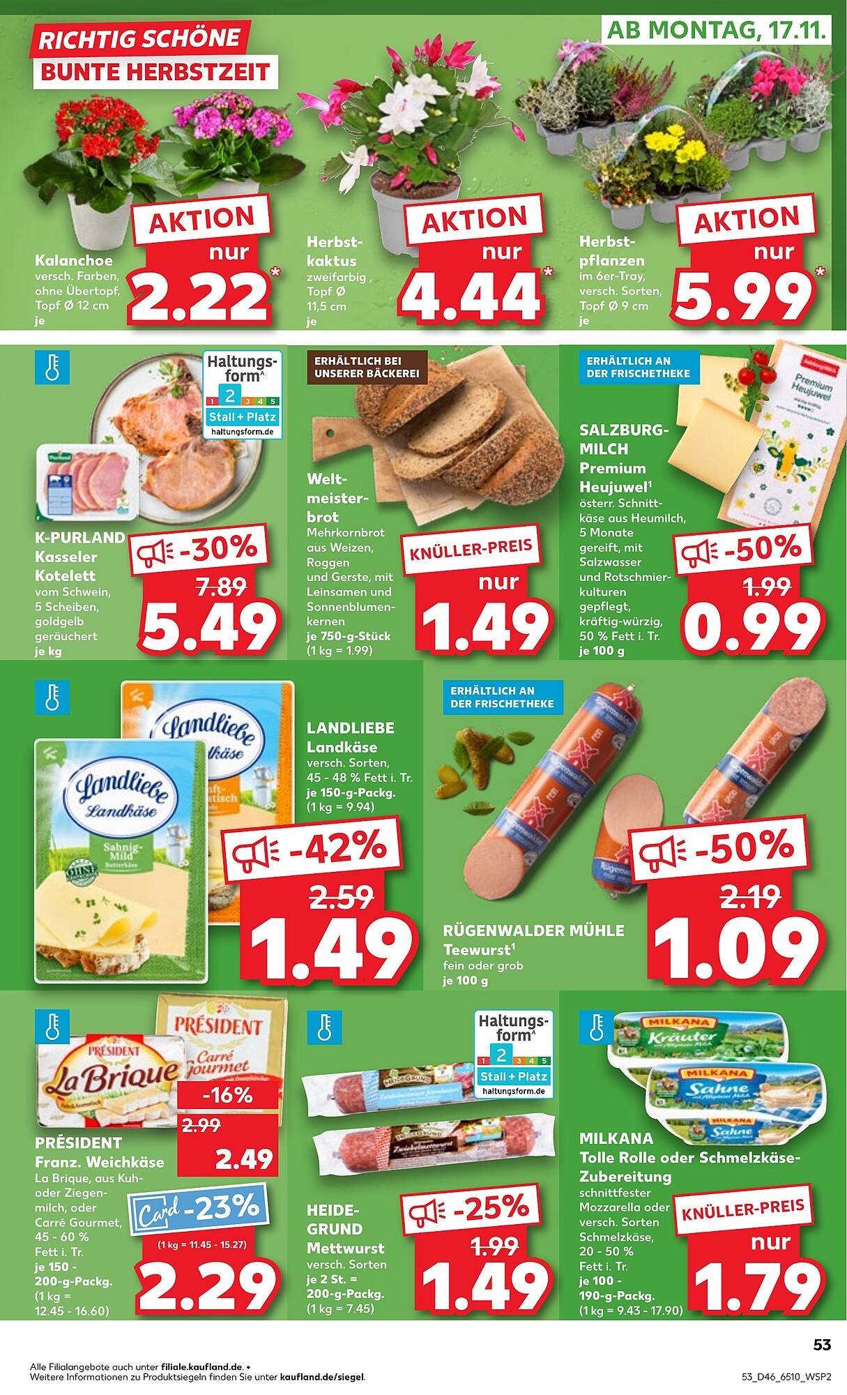 Kaufland Prospekt