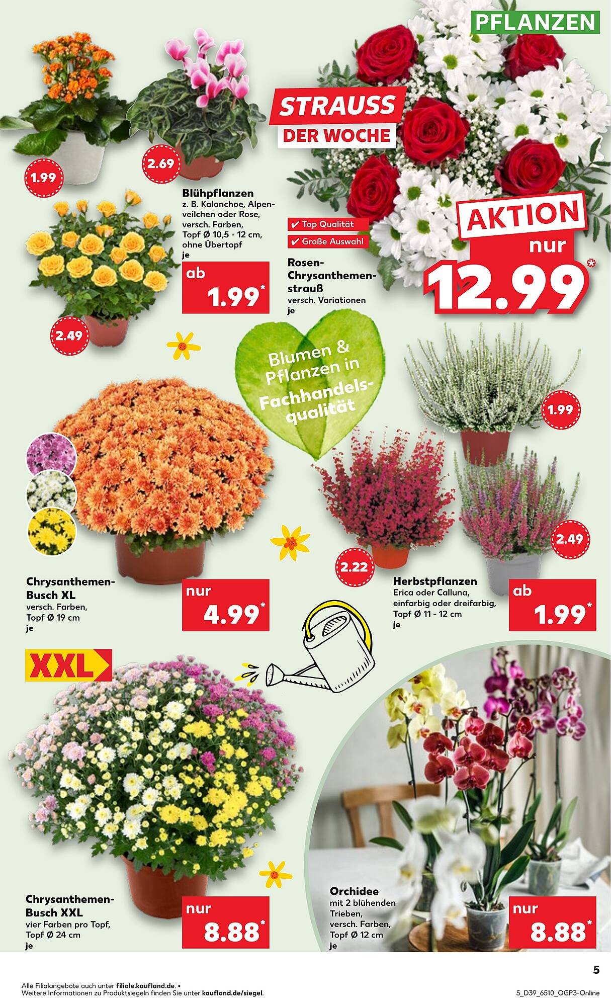 Kaufland Prospekt (2025-09-25 - 2025-10-01) | 5