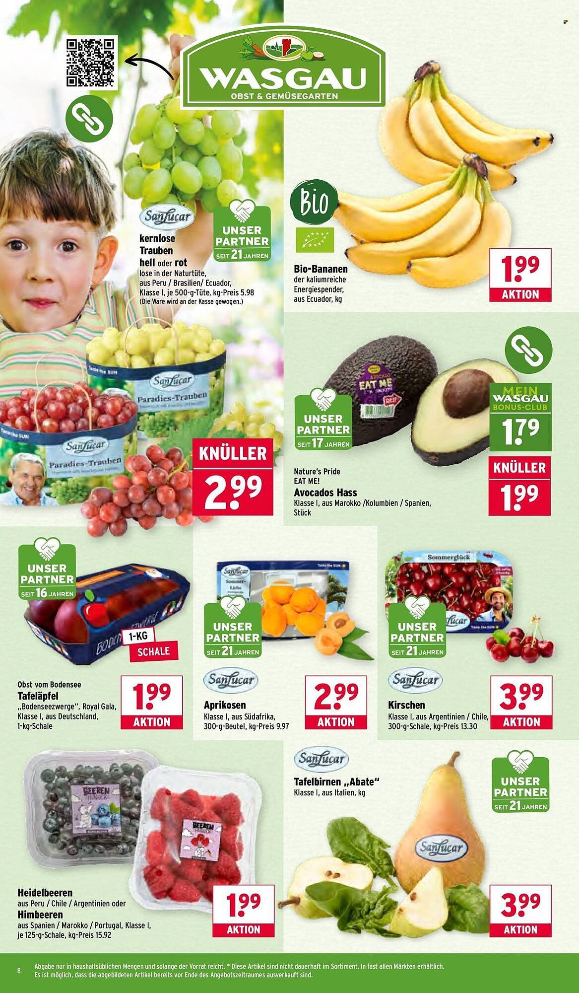 Wasgau Prospekt (2026-01-26 - 2026-01-31)