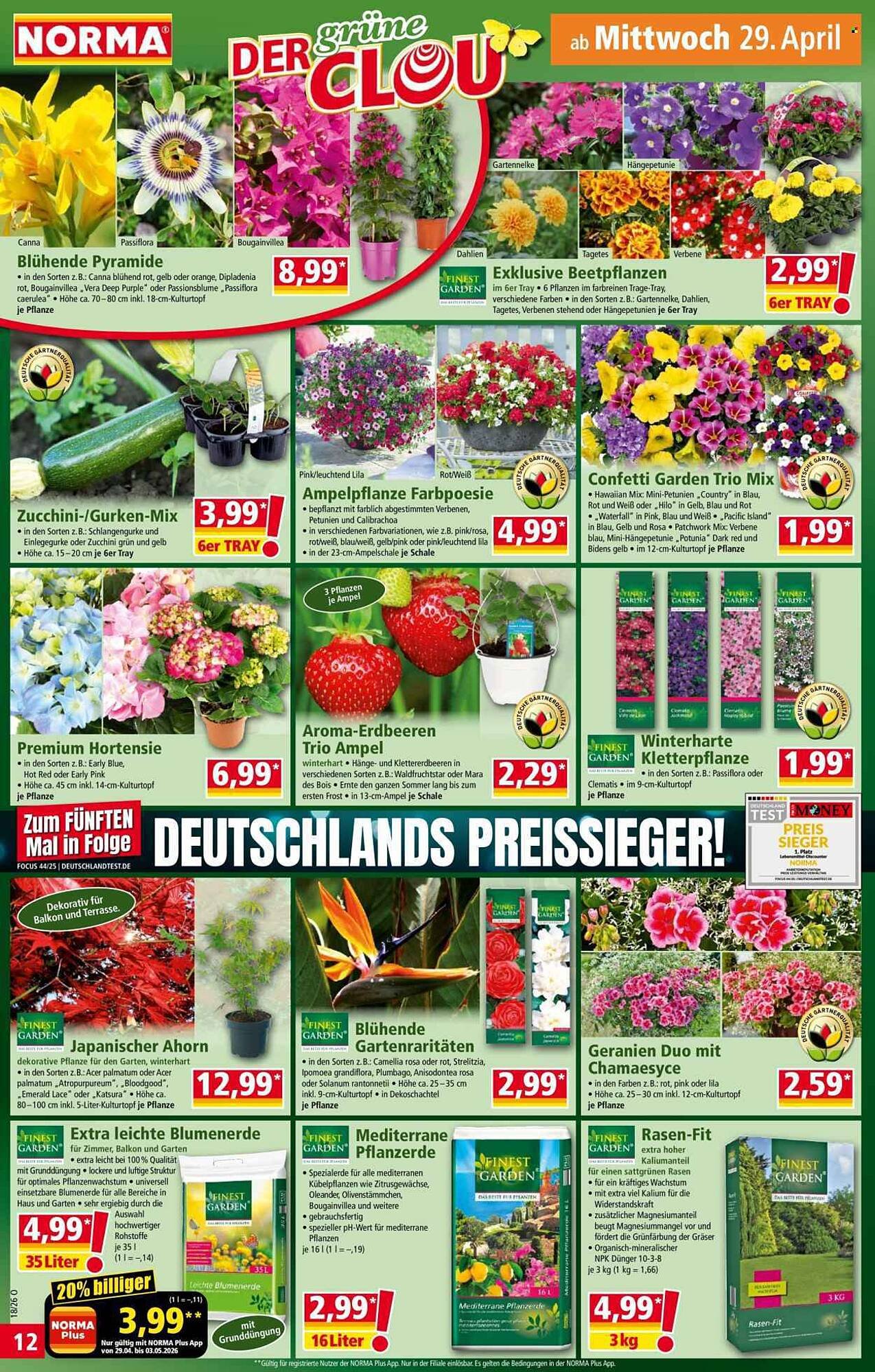 Norma Prospekt (2026-04-27 - 2026-05-03)