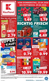Kaufland Prospekt