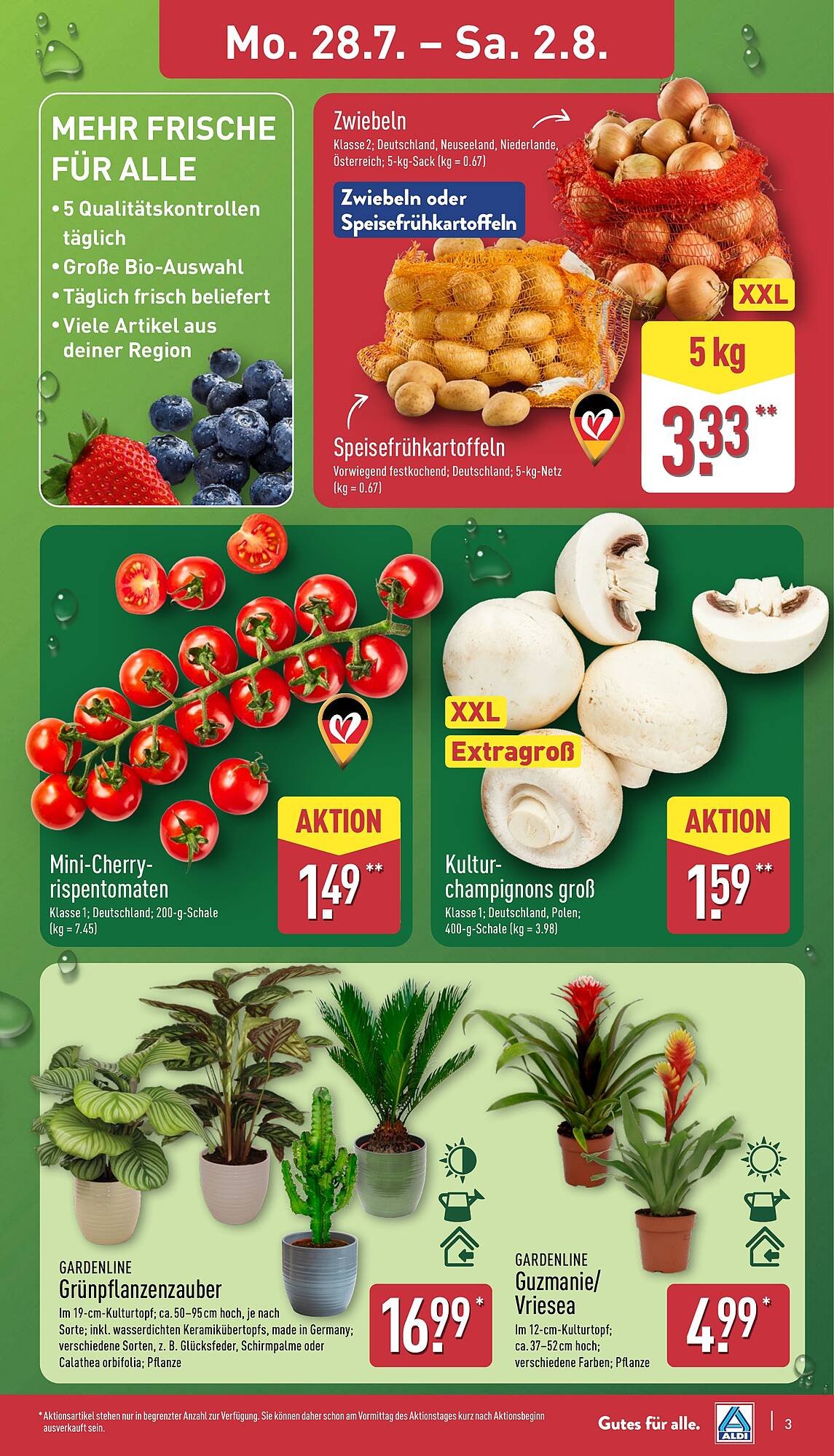 Aldi Nord Prospekt (2025-07-28 - 2025-08-02) | 3