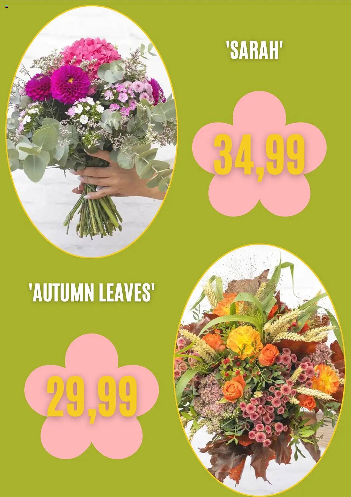 Blumen Risse Prospekt (2025-10-04 - 2025-11-04) | 5
