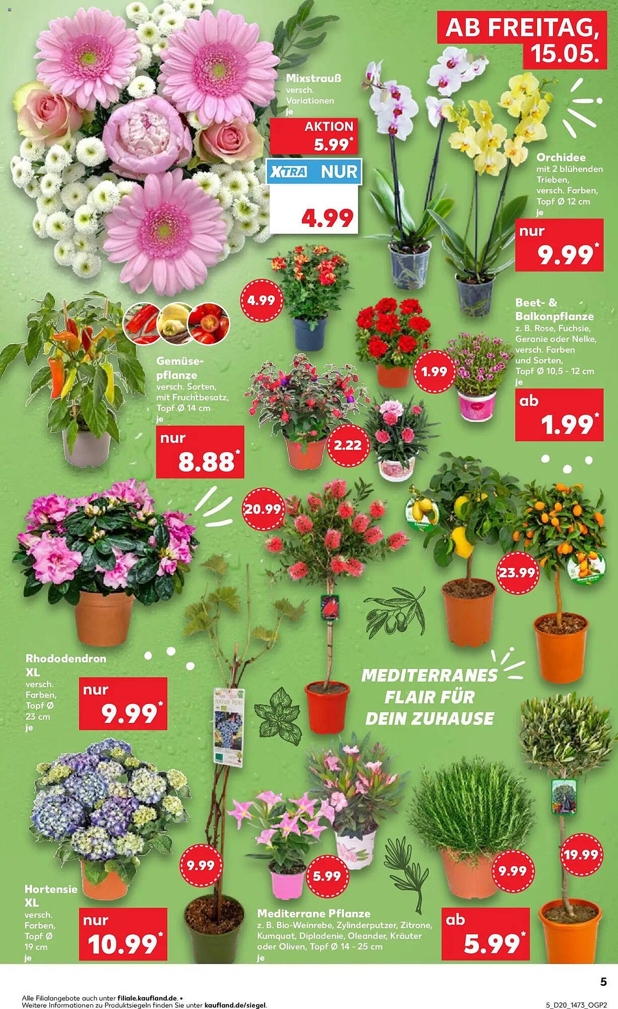 Kaufland Prospekt (2026-05-15 - 2026-05-20)