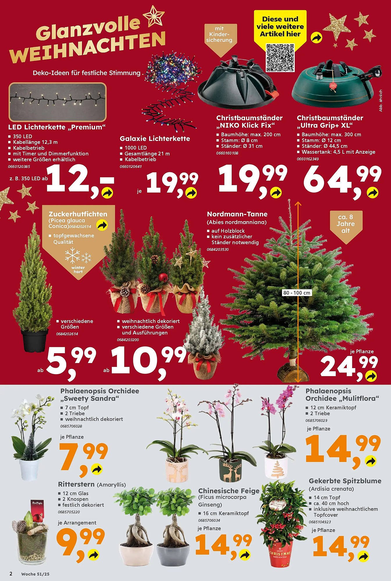 Globus Baumarkt Prospekt (2025-12-14 - 2025-12-20)