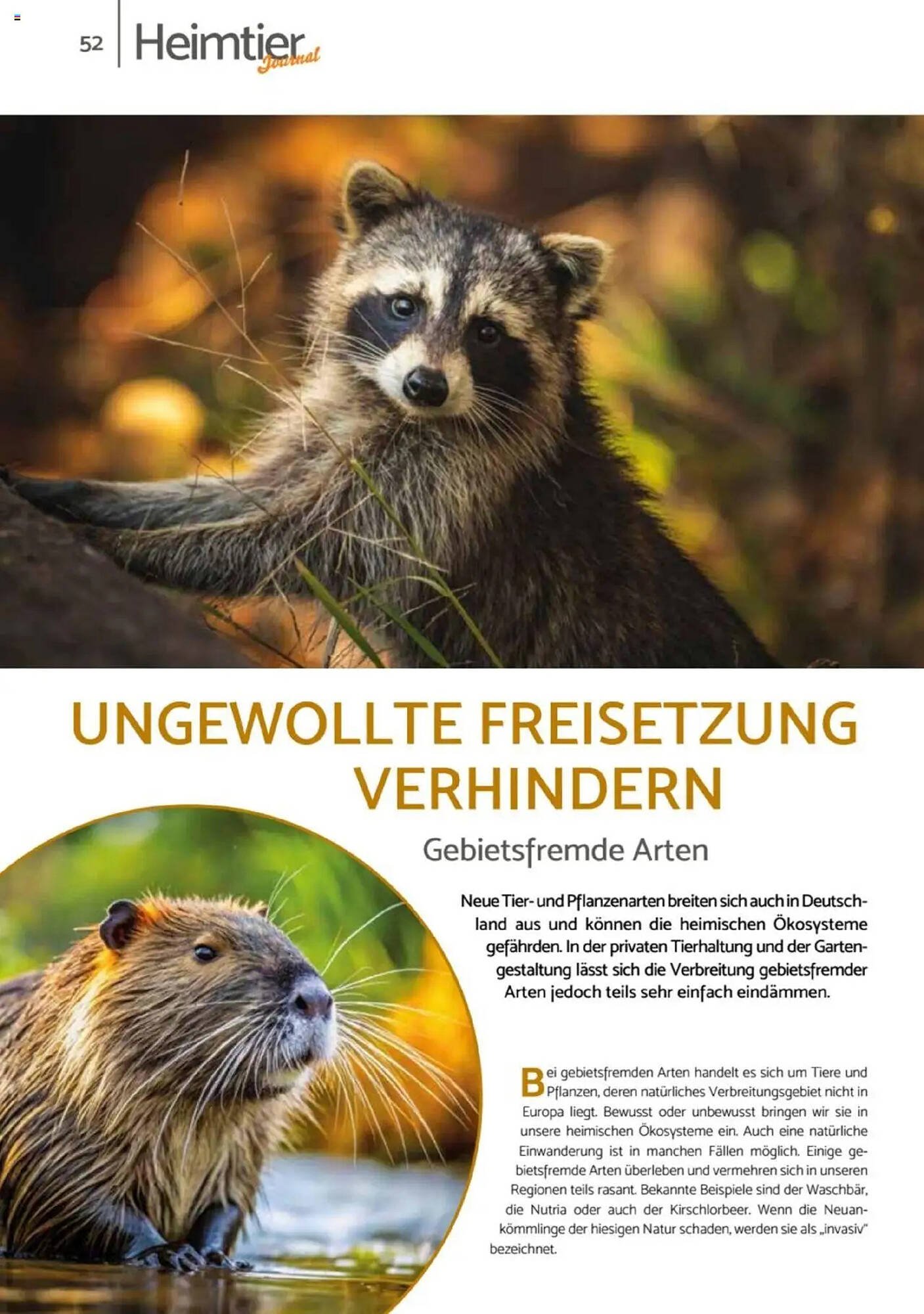 Zookauf Prospekt
