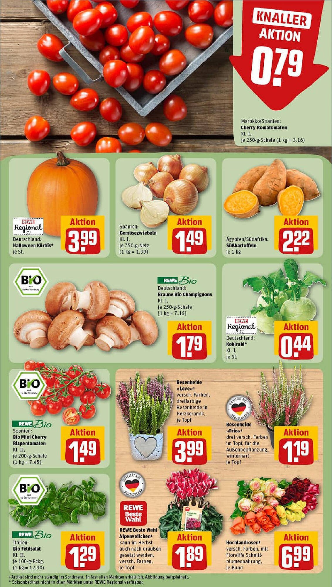 REWE Prospekt (2025-10-12 - 2025-10-19) | 7