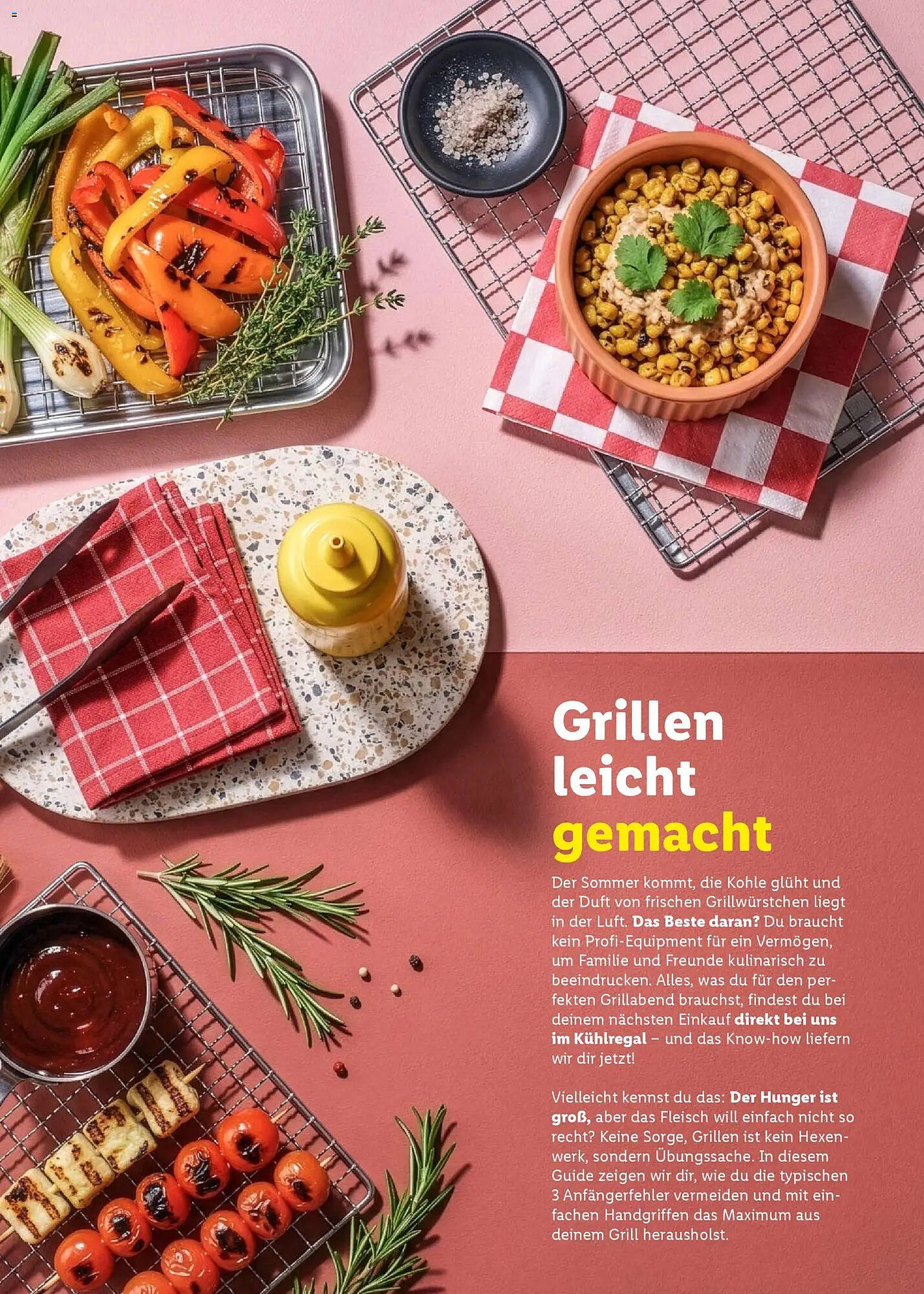 Lidl Magazin