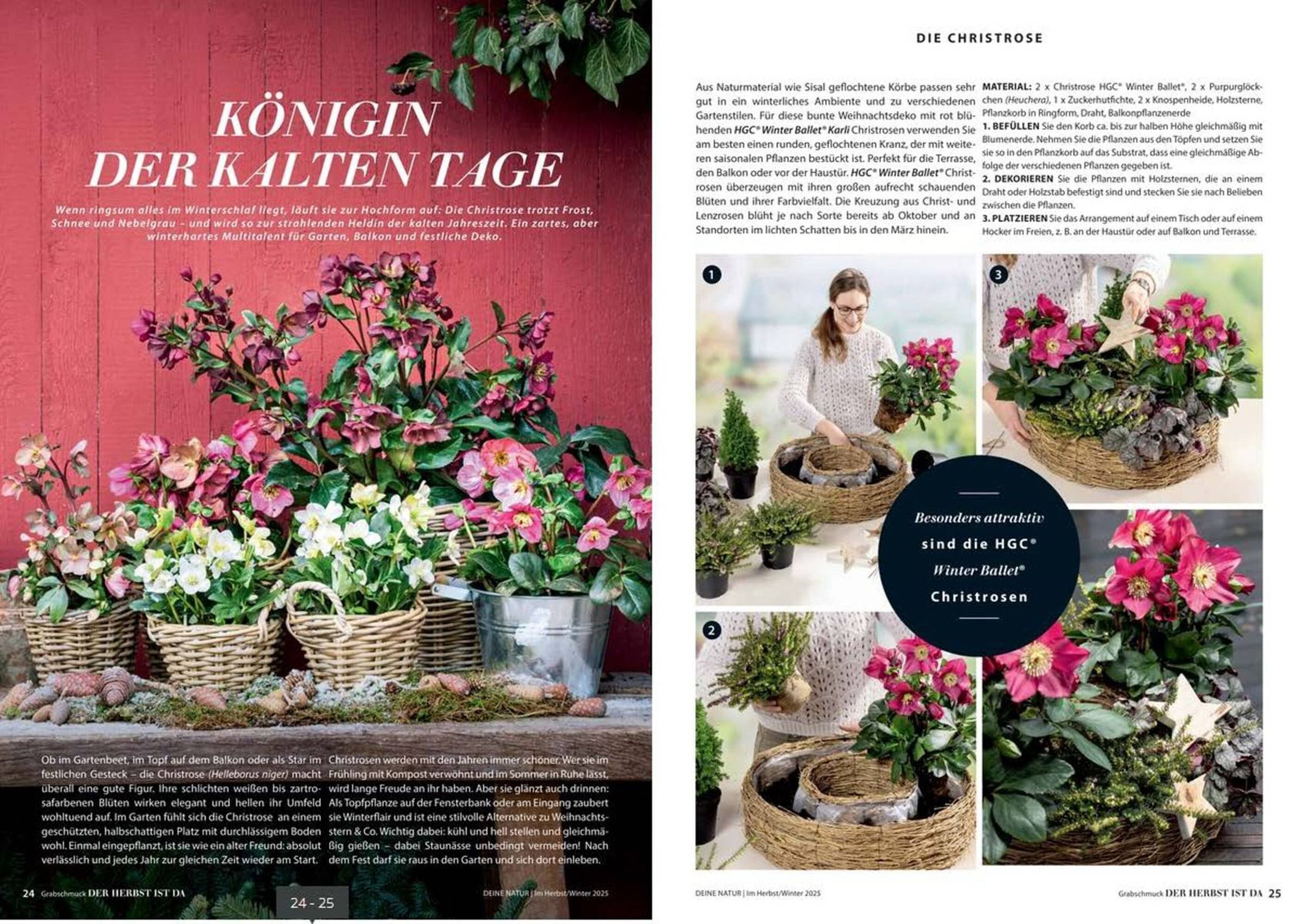 Dehner Prospekt (2025-10-24 - 2025-12-31) | 13