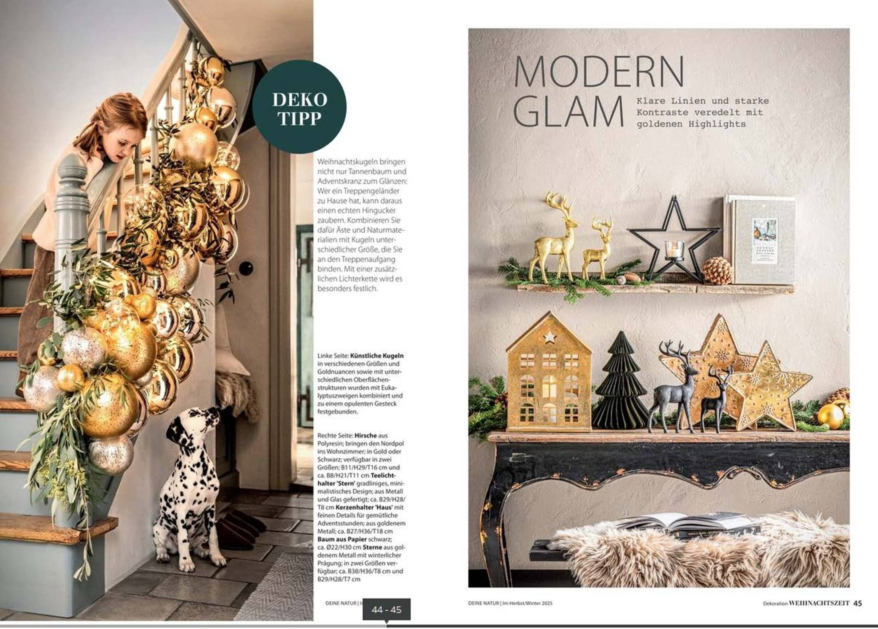 Dehner Prospekt (2025-10-24 - 2025-12-31)