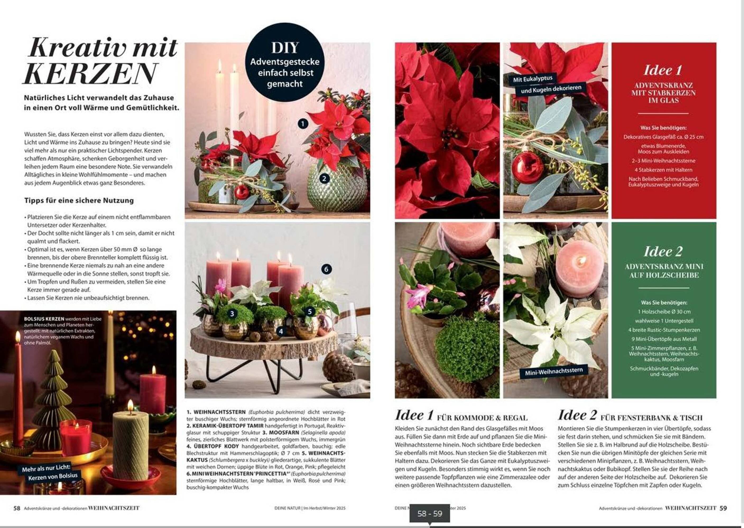 Dehner Prospekt (2025-10-24 - 2025-12-31)