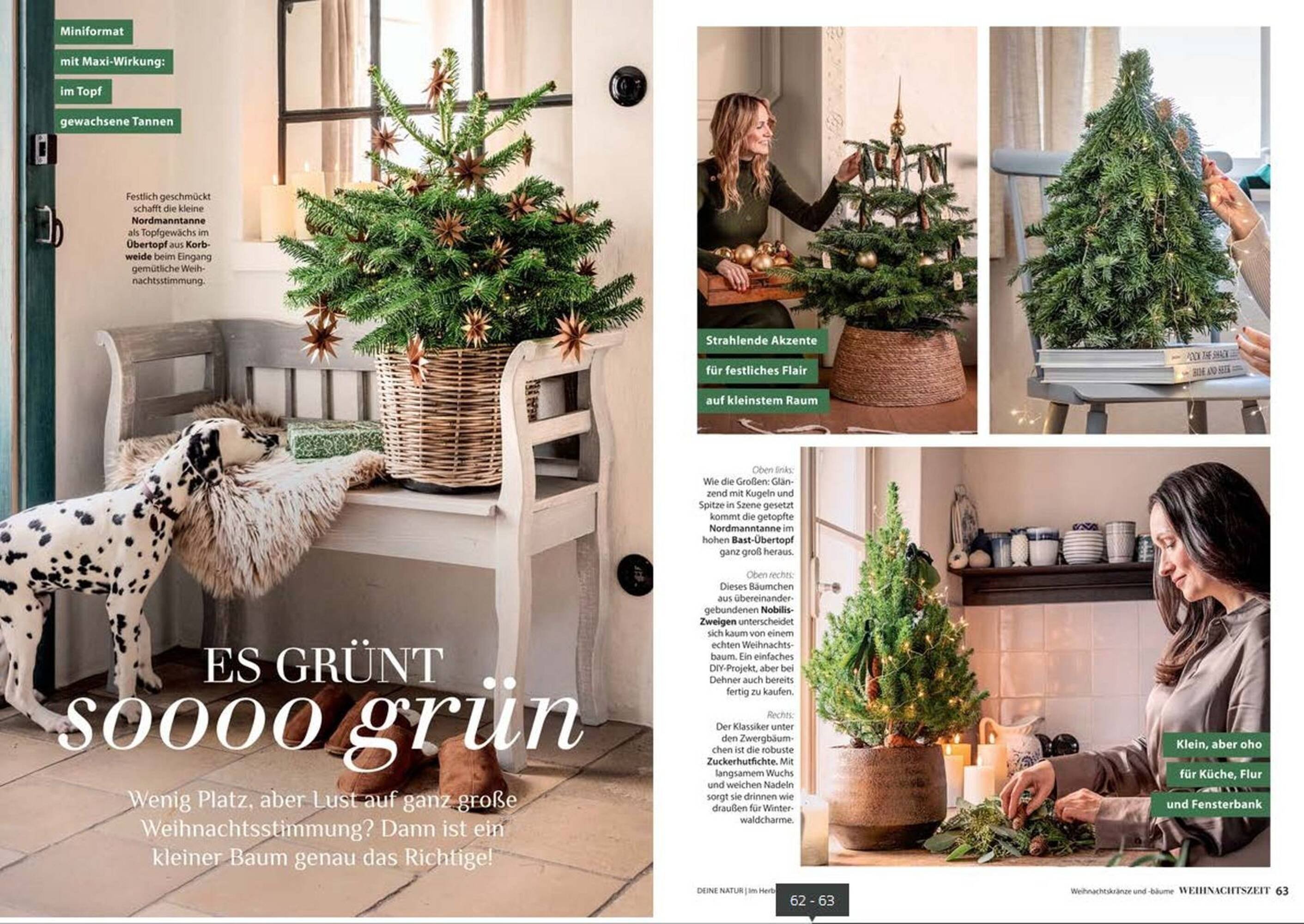 Dehner Prospekt (2025-10-24 - 2025-12-31)