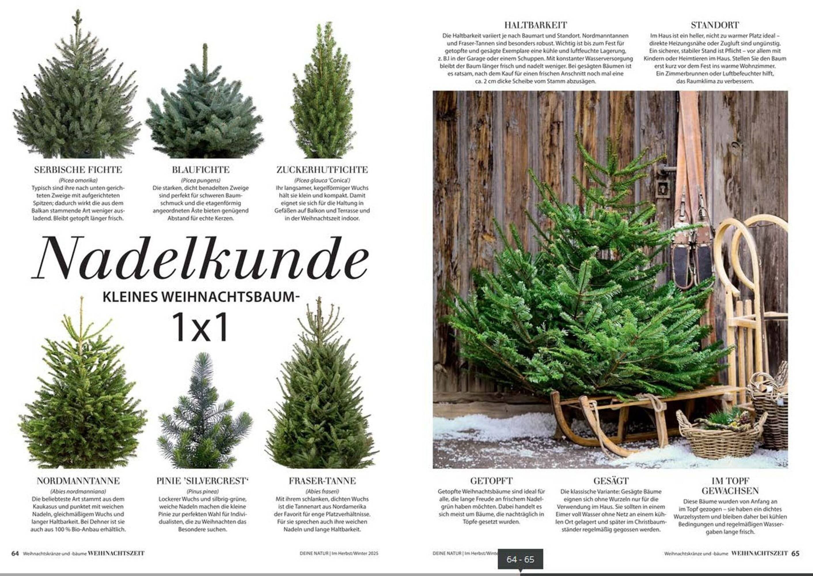 Dehner Prospekt (2025-10-24 - 2025-12-31)