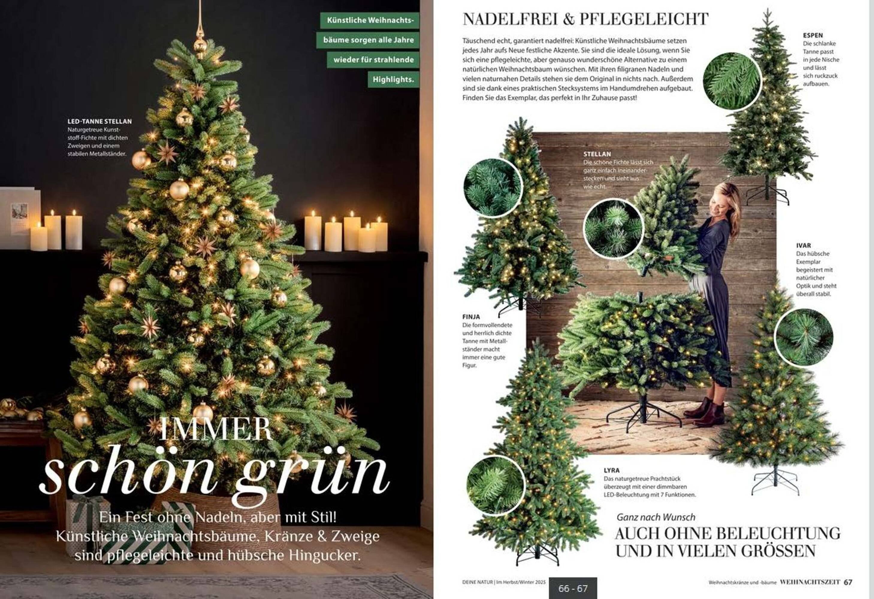 Dehner Prospekt (2025-10-24 - 2025-12-31)