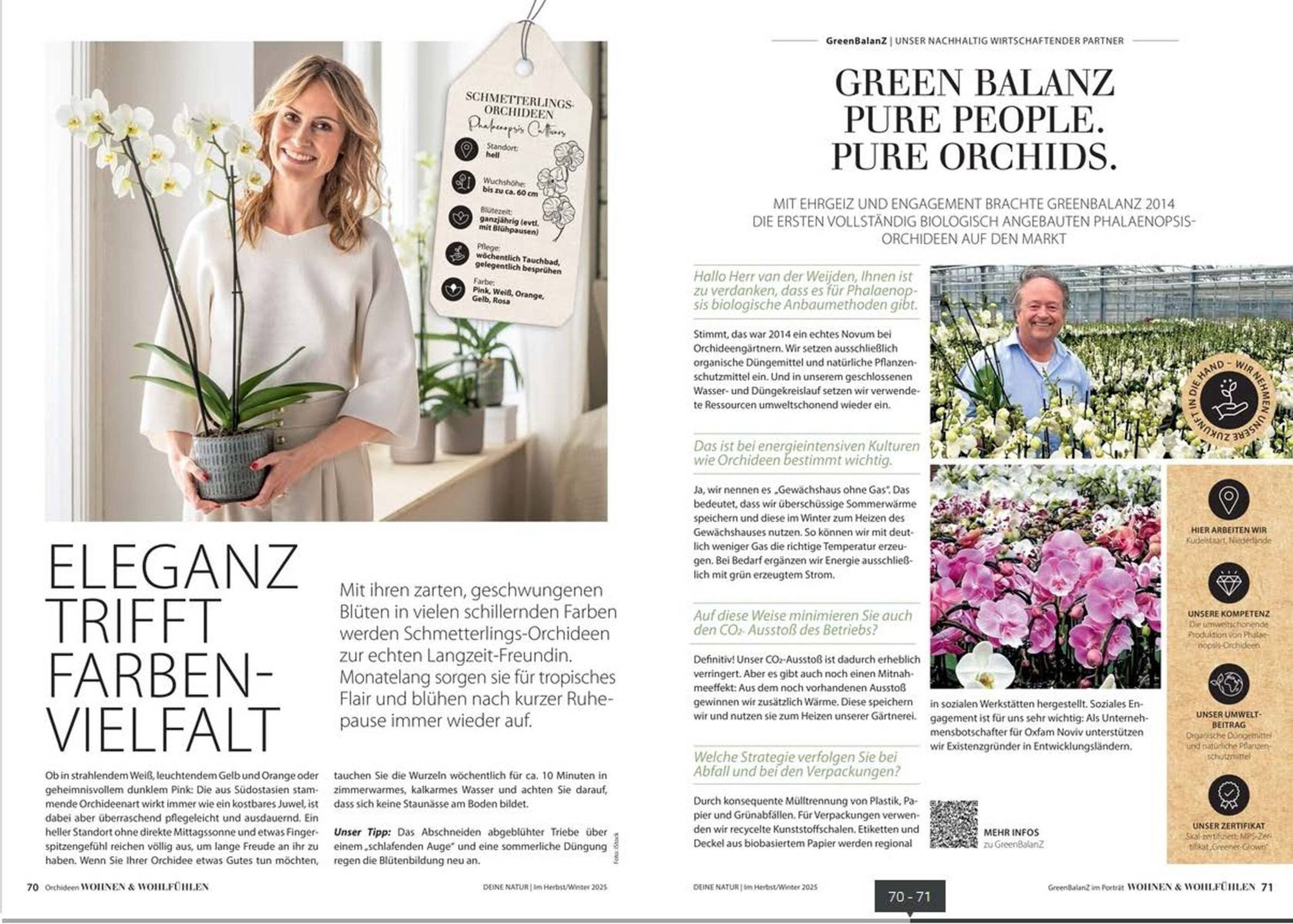 Dehner Prospekt (2025-10-24 - 2025-12-31)