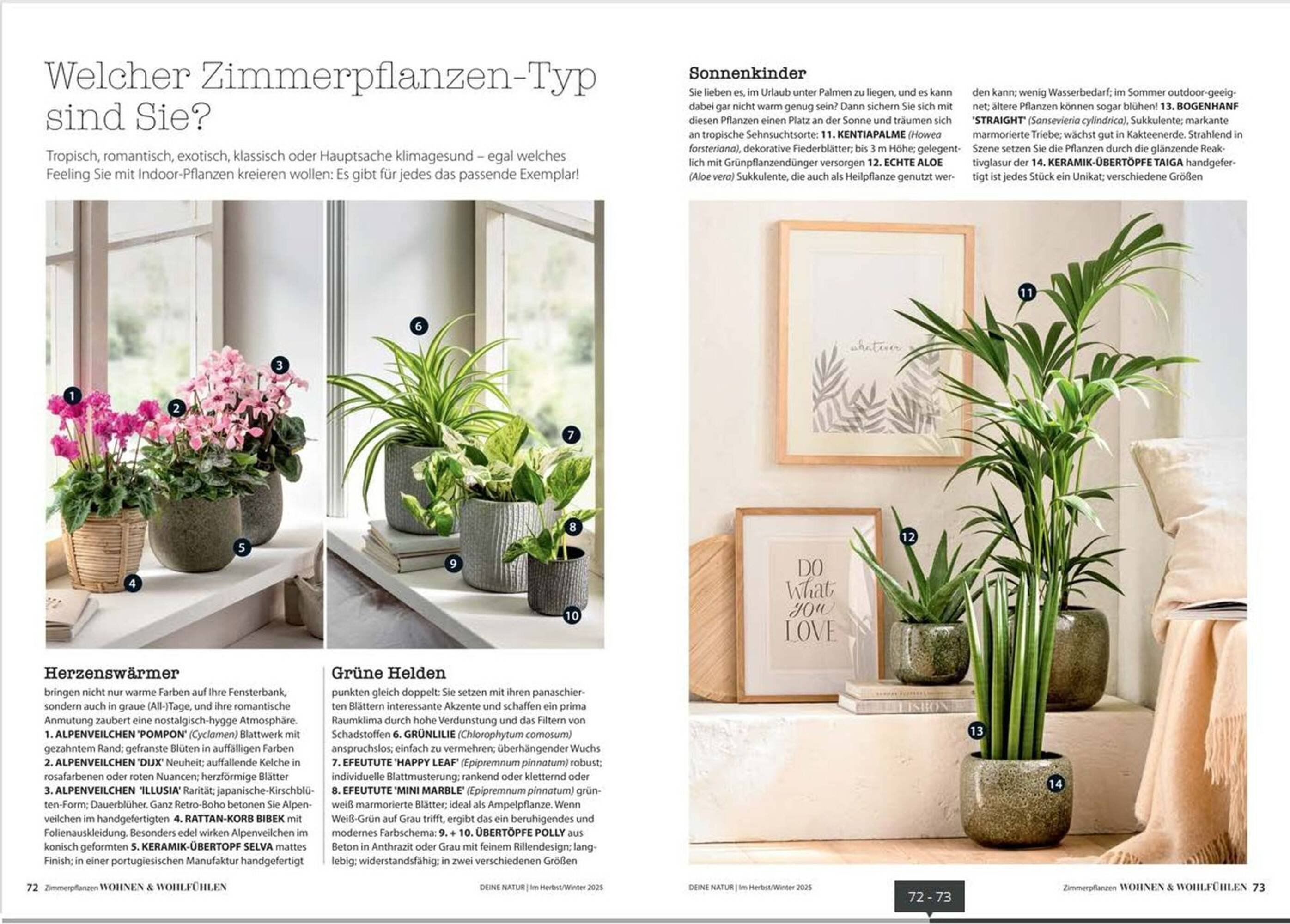 Dehner Prospekt (2025-10-24 - 2025-12-31)