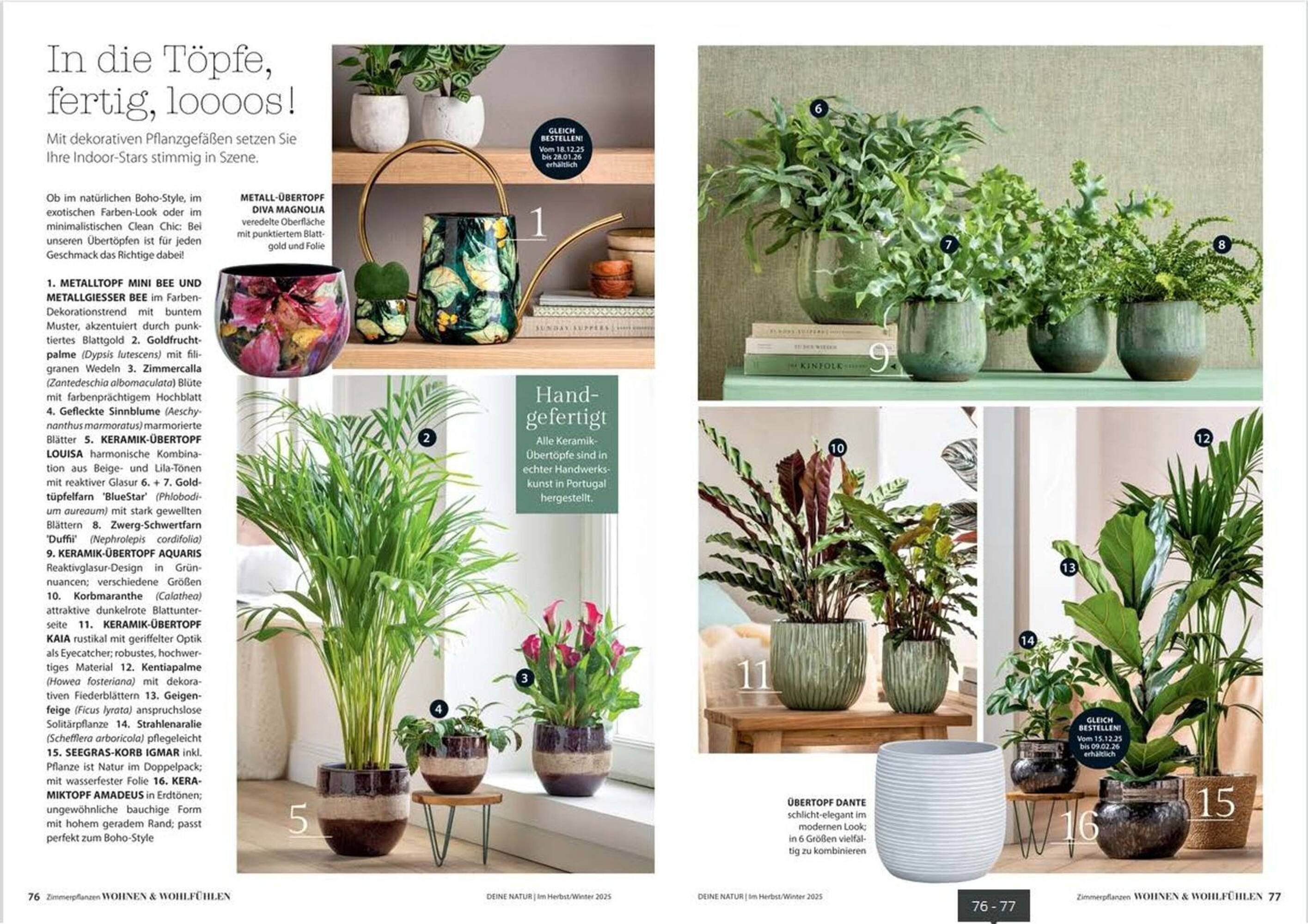 Dehner Prospekt (2025-10-24 - 2025-12-31)