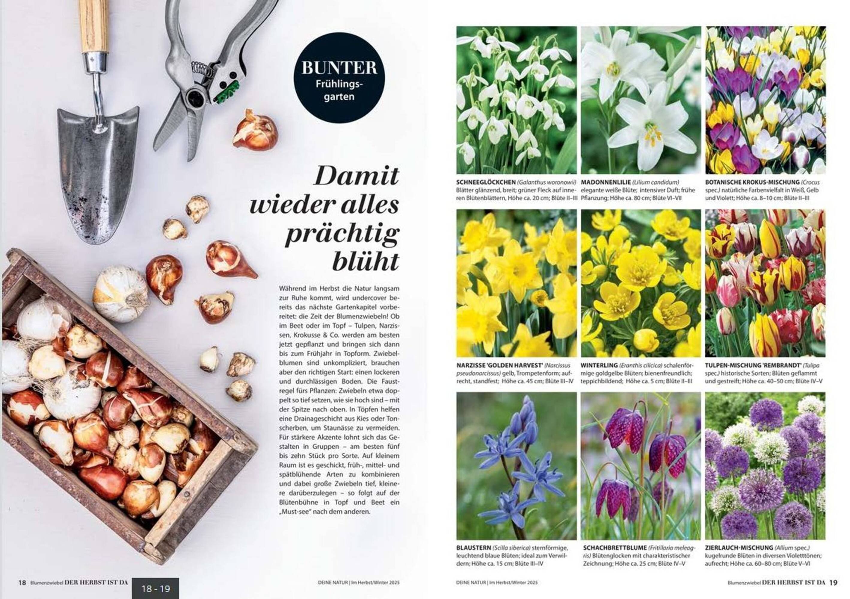 Dehner Prospekt (2025-10-24 - 2025-12-31) | 10