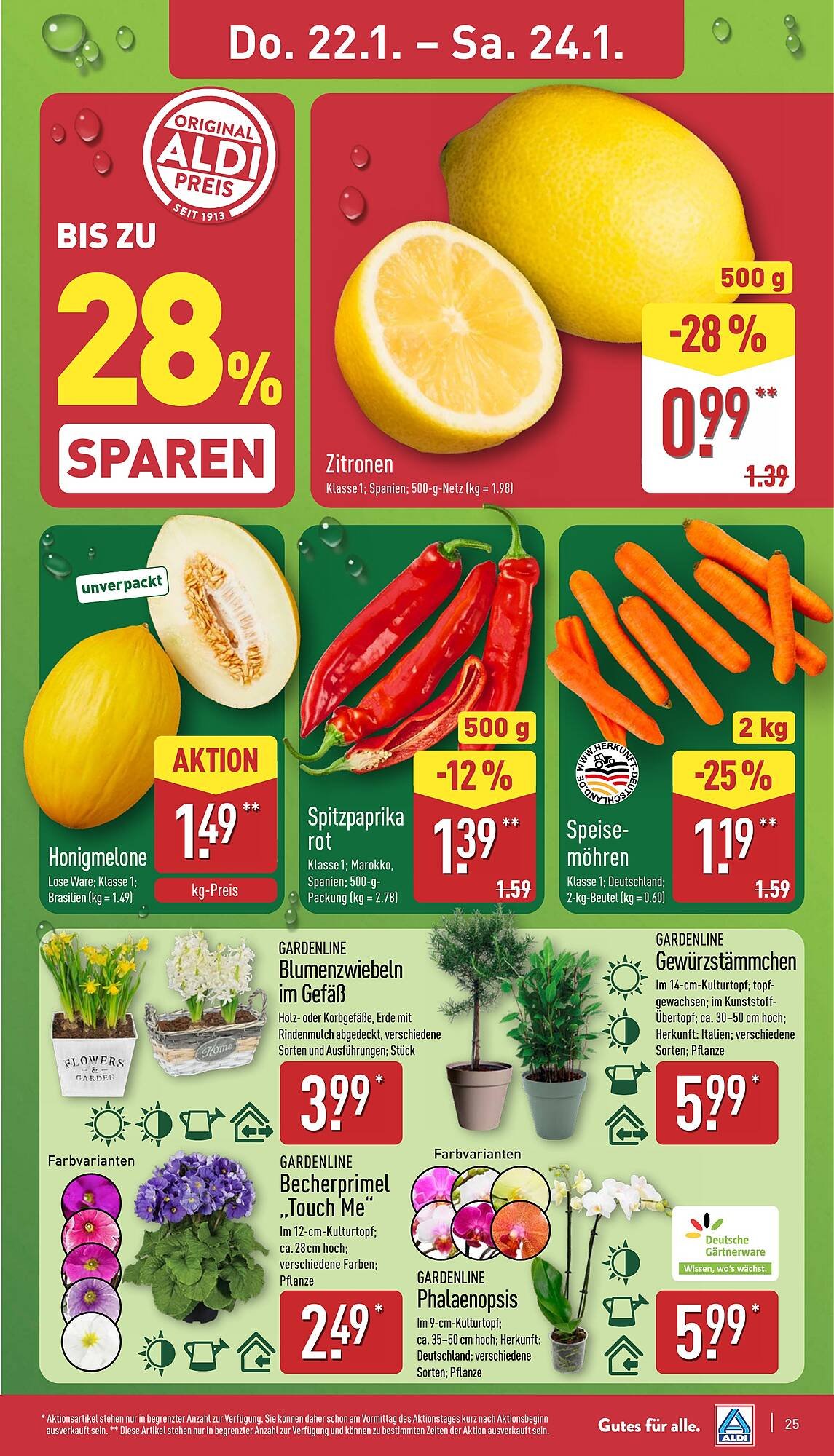 Aldi Nord Prospekt (2026-01-19 - 2026-01-24)