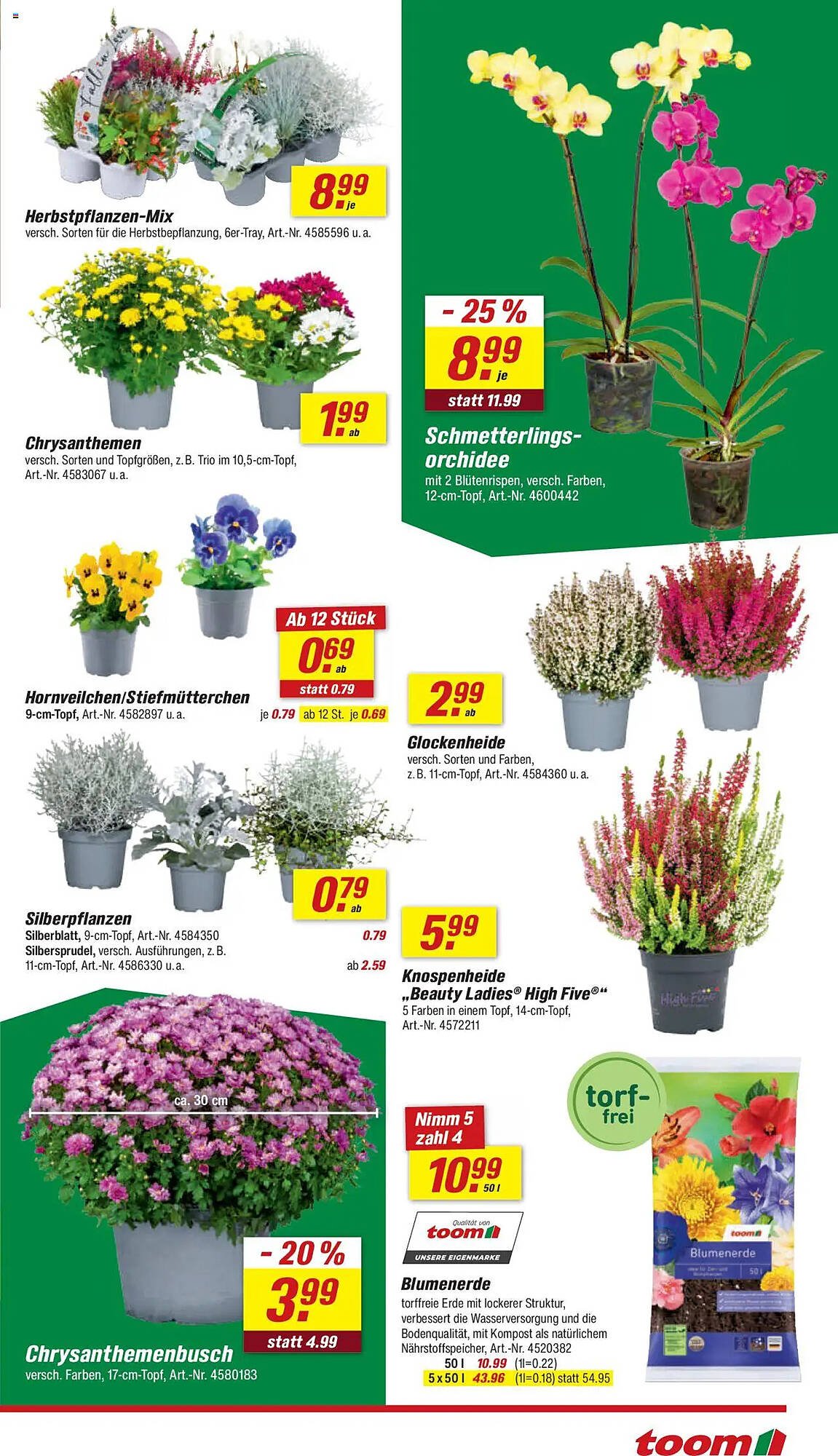 Toom Baumarkt Prospekt (2025-09-13 - 2025-09-19) | 3