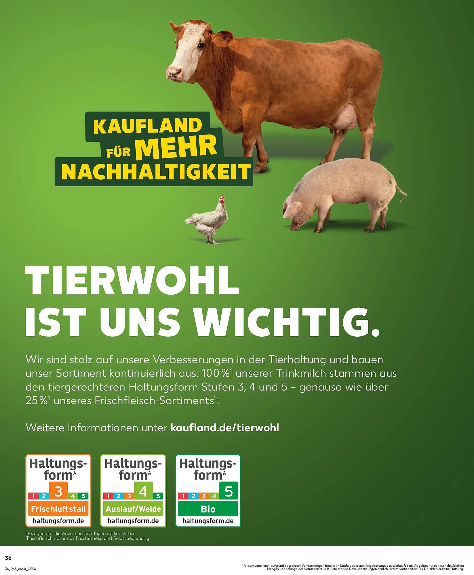 Kaufland Prospekt (2025-11-26 - 2025-12-03)