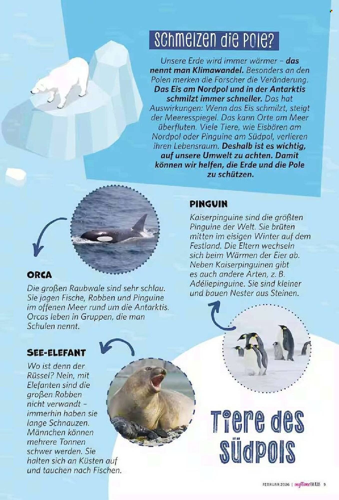 Combi Magazine (2026-02-01 - 2026-02-28)