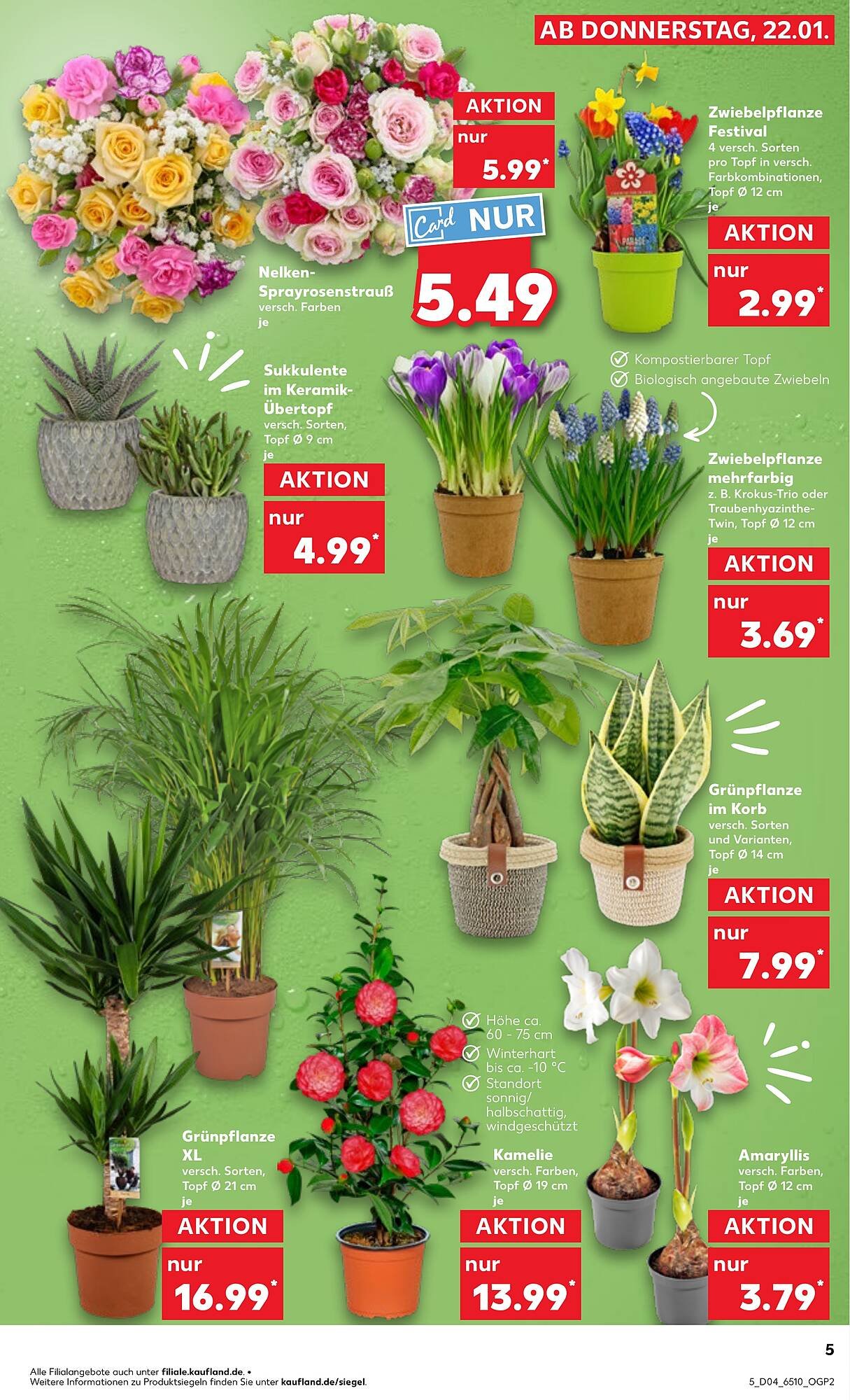 Kaufland Prospekt (2026-01-22 - 2026-01-28)