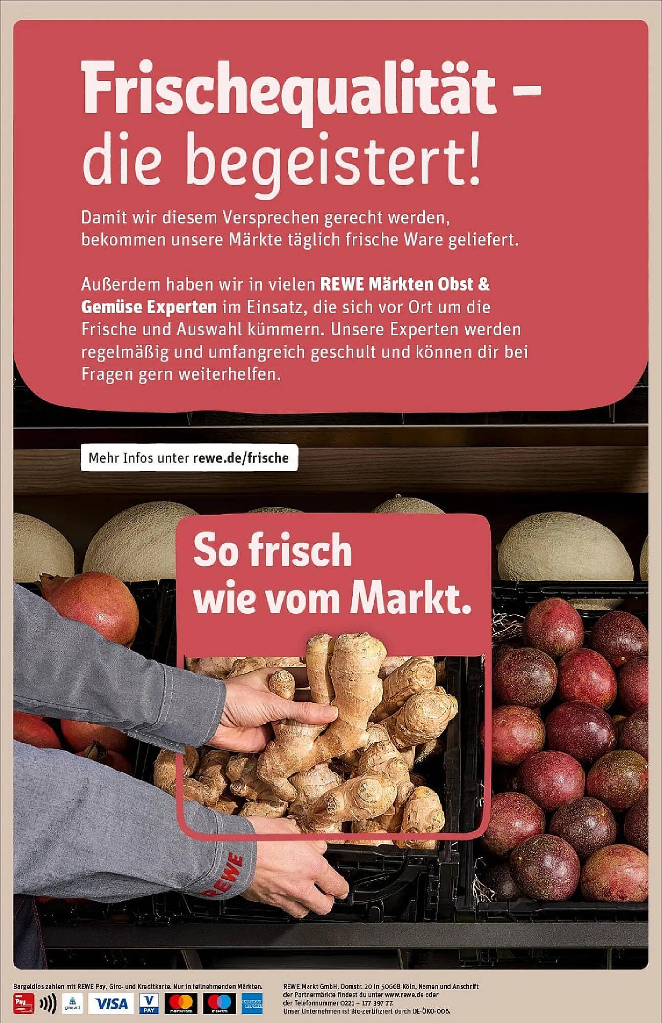 REWE Prospekt (2025-11-23 - 2025-11-30)