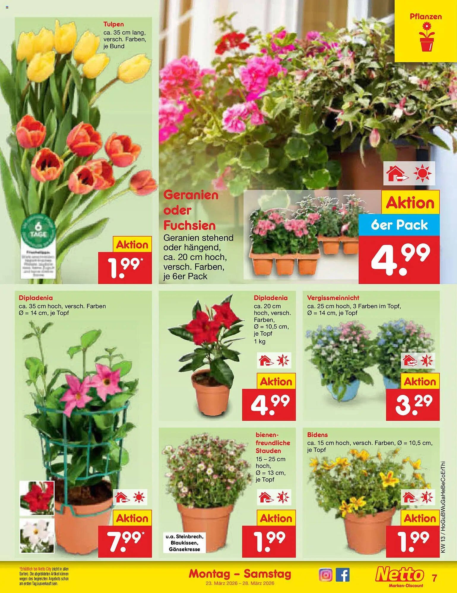 Netto Marken-Discount Prospekt (2026-03-23 - 2026-03-28)