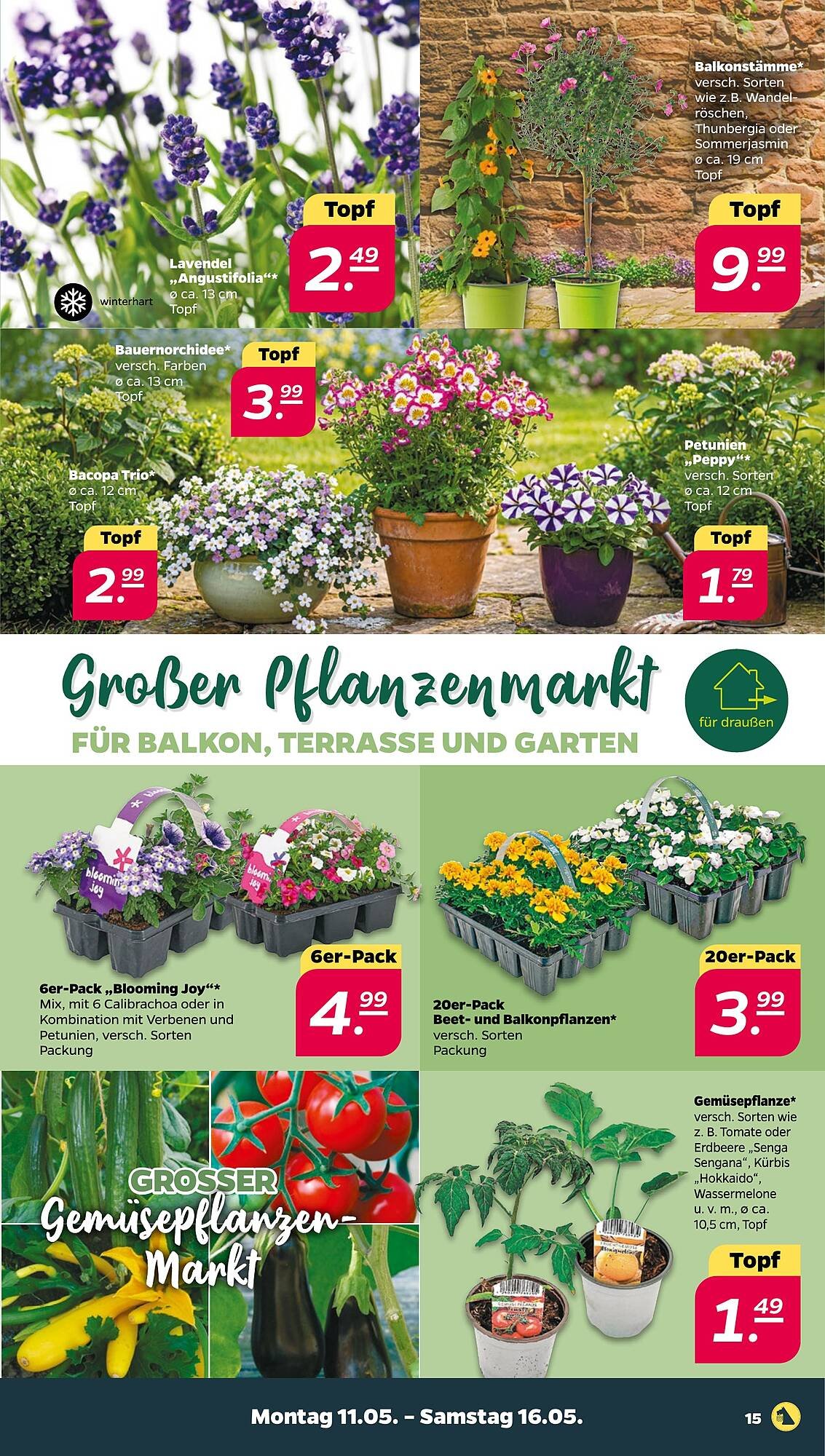 NETTO Prospekt (2026-05-11 - 2026-05-16)