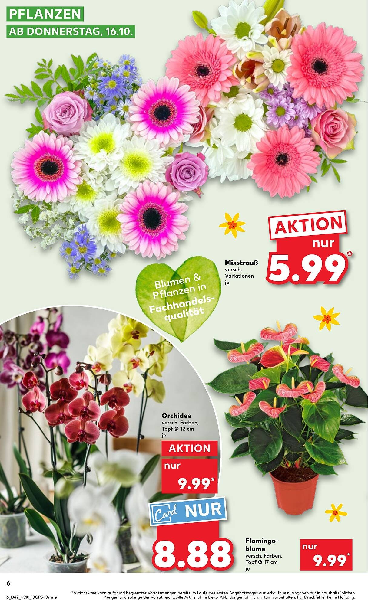 Kaufland Prospekt (2025-10-16 - 2025-10-22) | 6