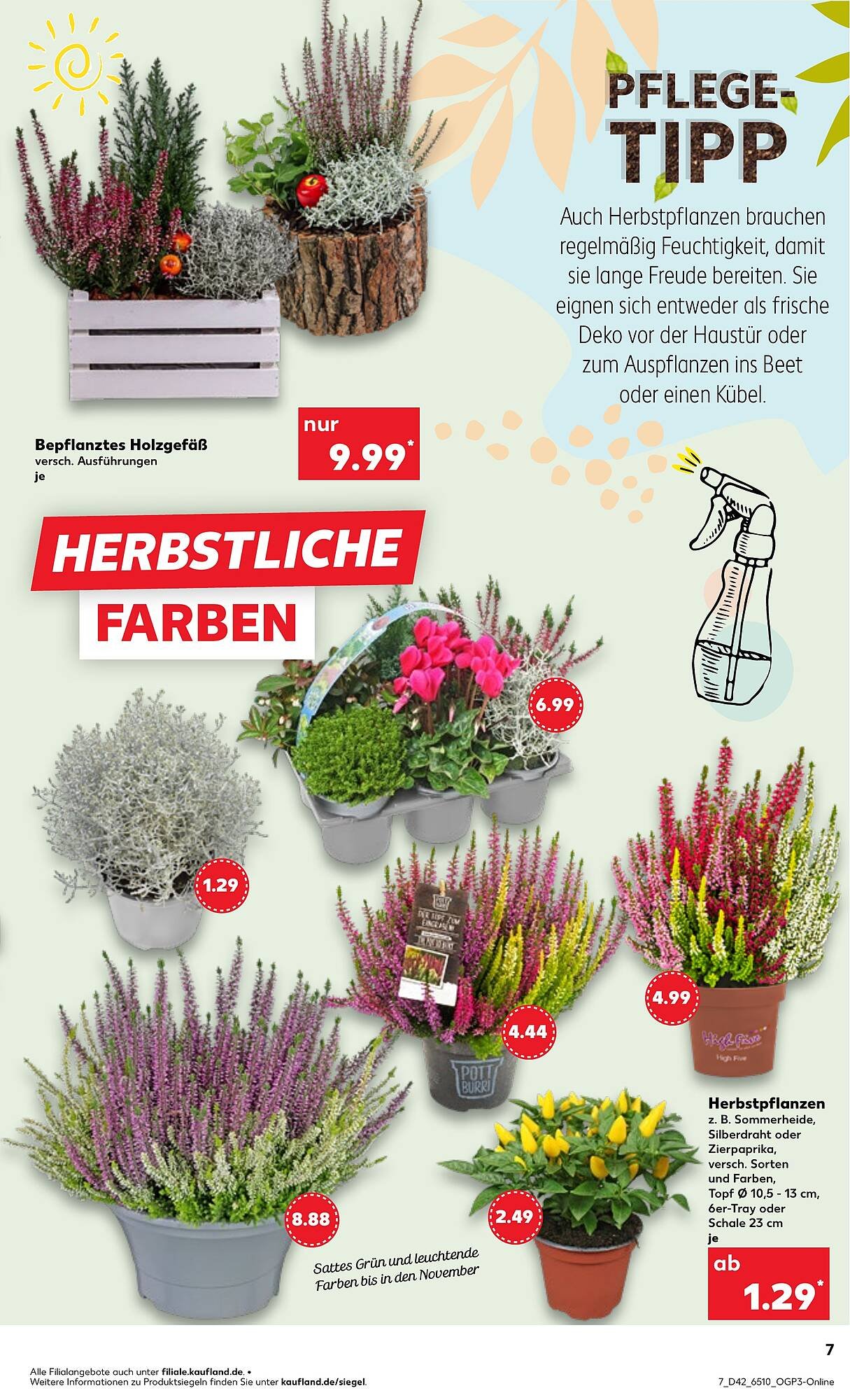 Kaufland Prospekt (2025-10-16 - 2025-10-22) | 7