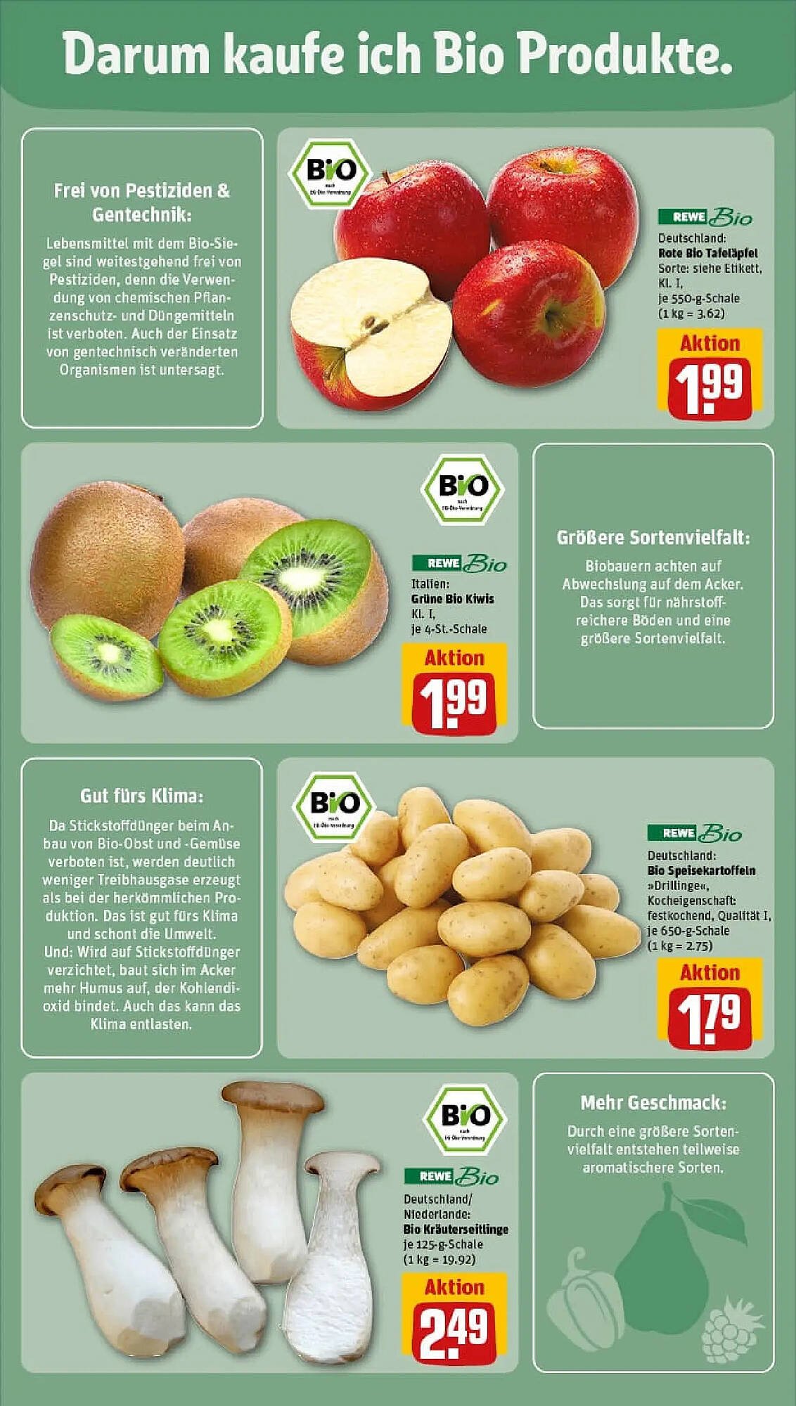 REWE Prospekt (2026-02-01 - 2026-02-08)