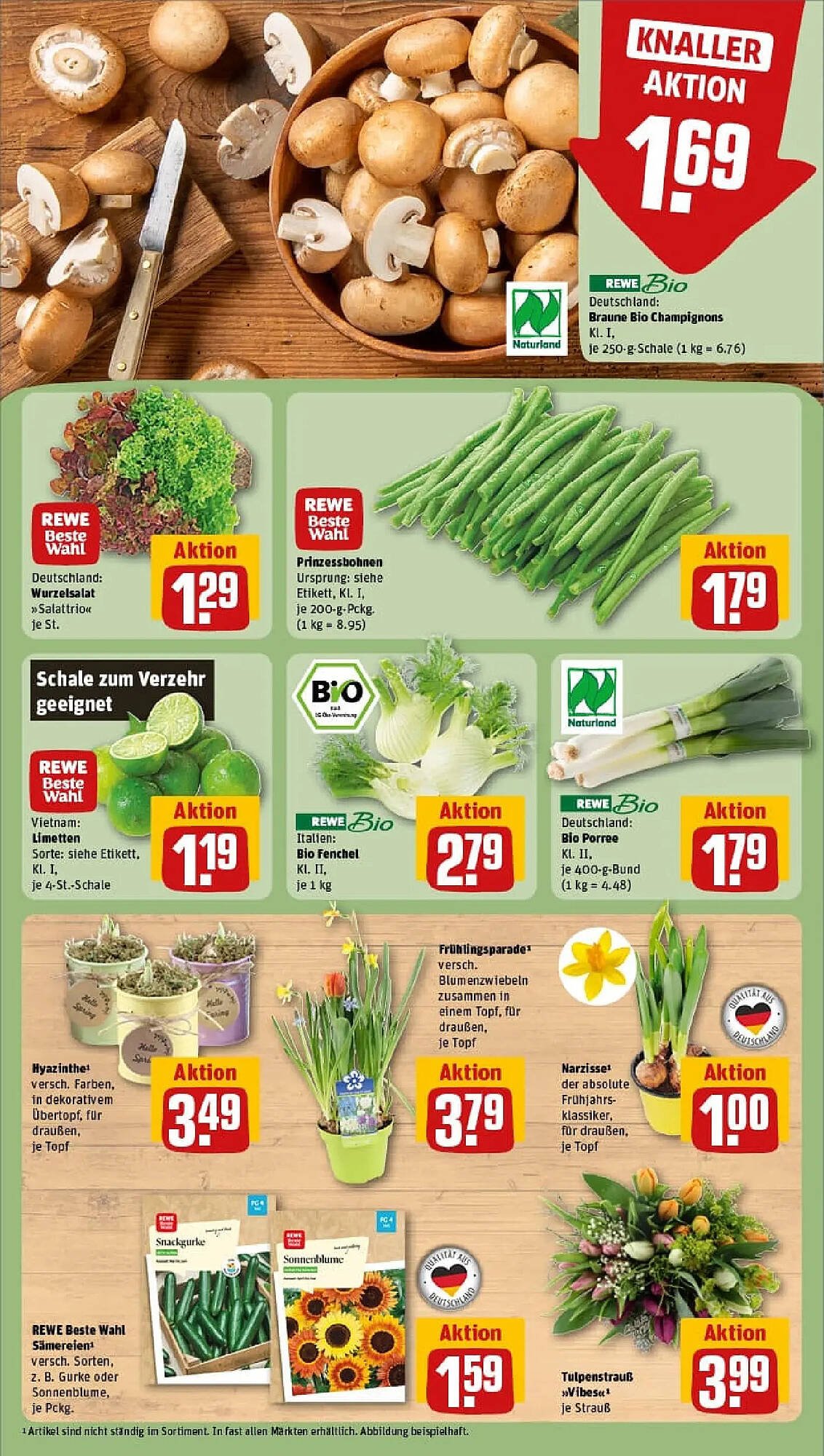 REWE Prospekt (2026-02-01 - 2026-02-08)