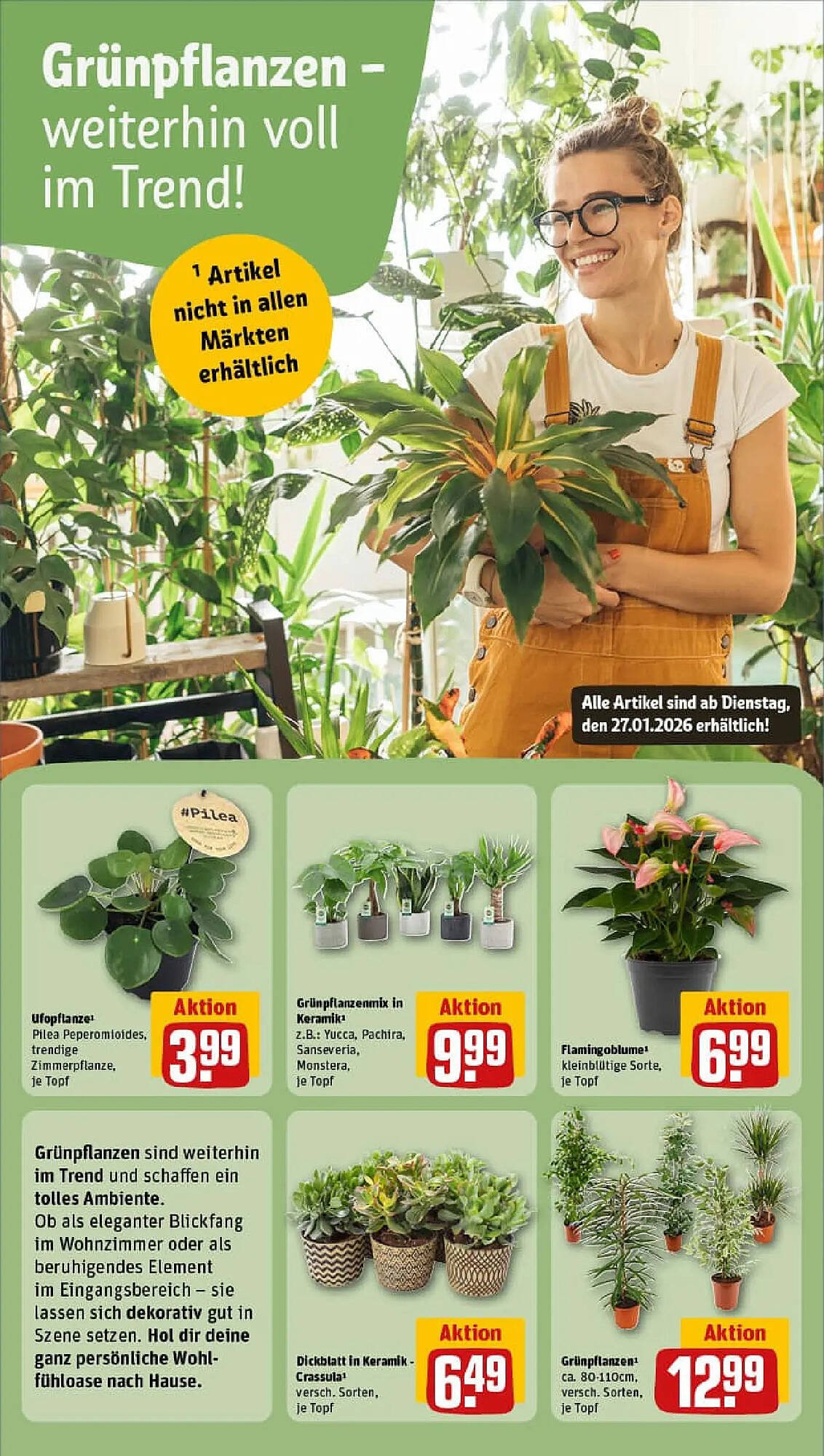 REWE Prospekt (2026-01-25 - 2026-02-01)