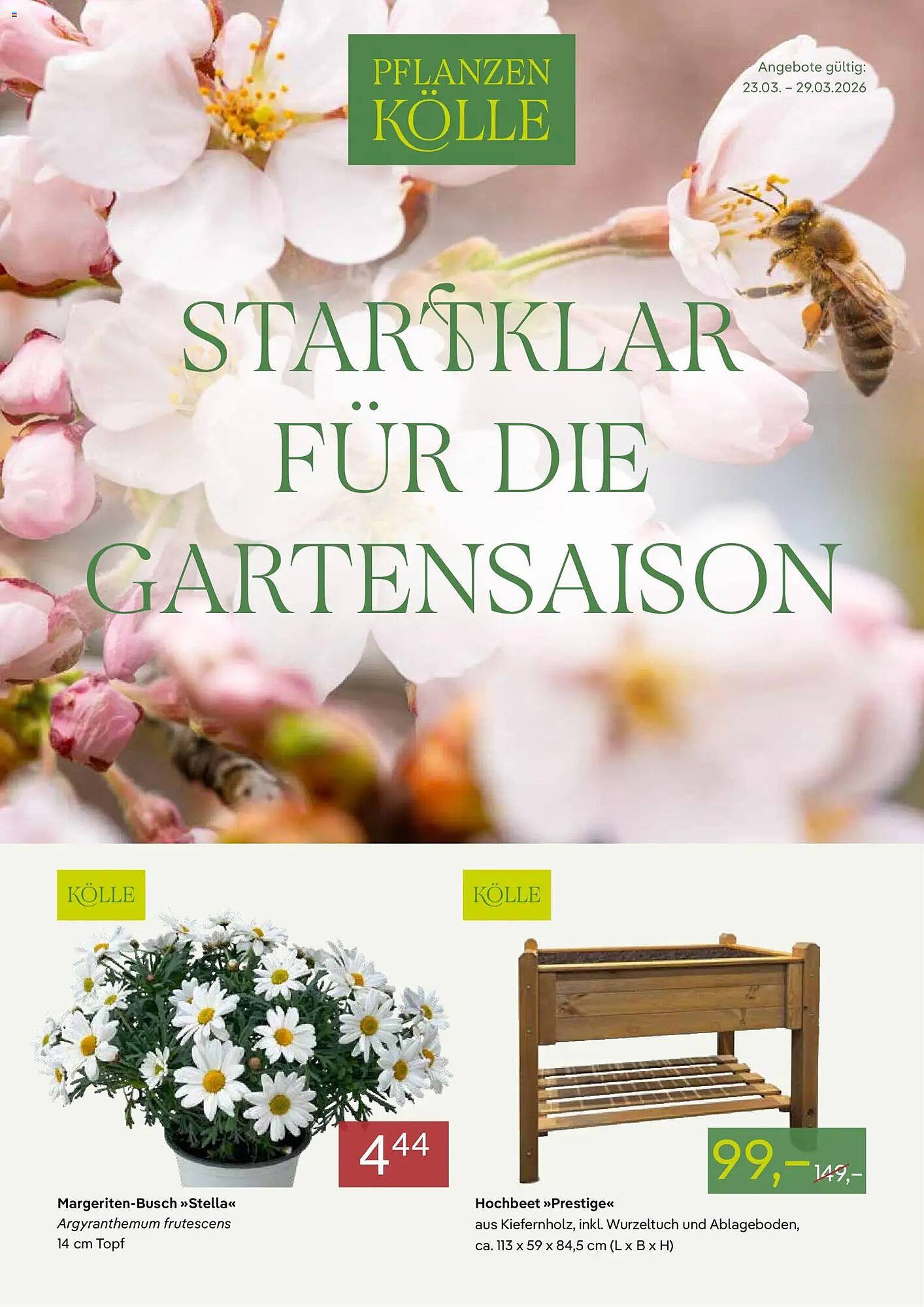 Pflanzen Kölle Prospekt